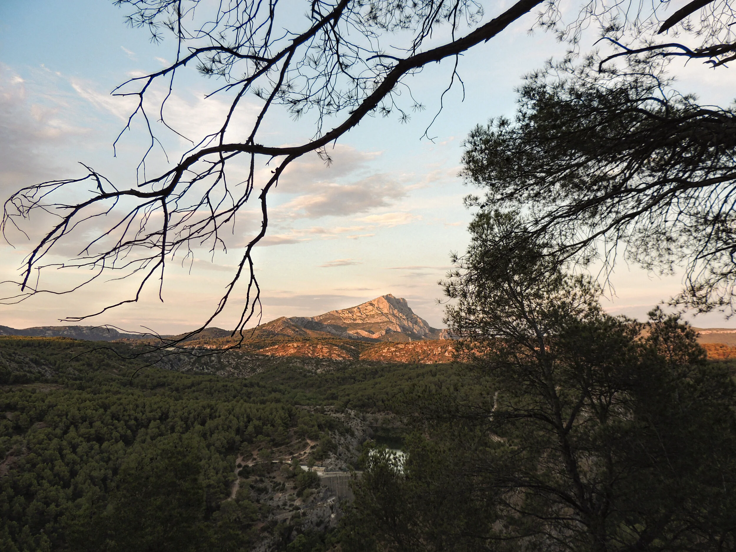 mountain max.jpg