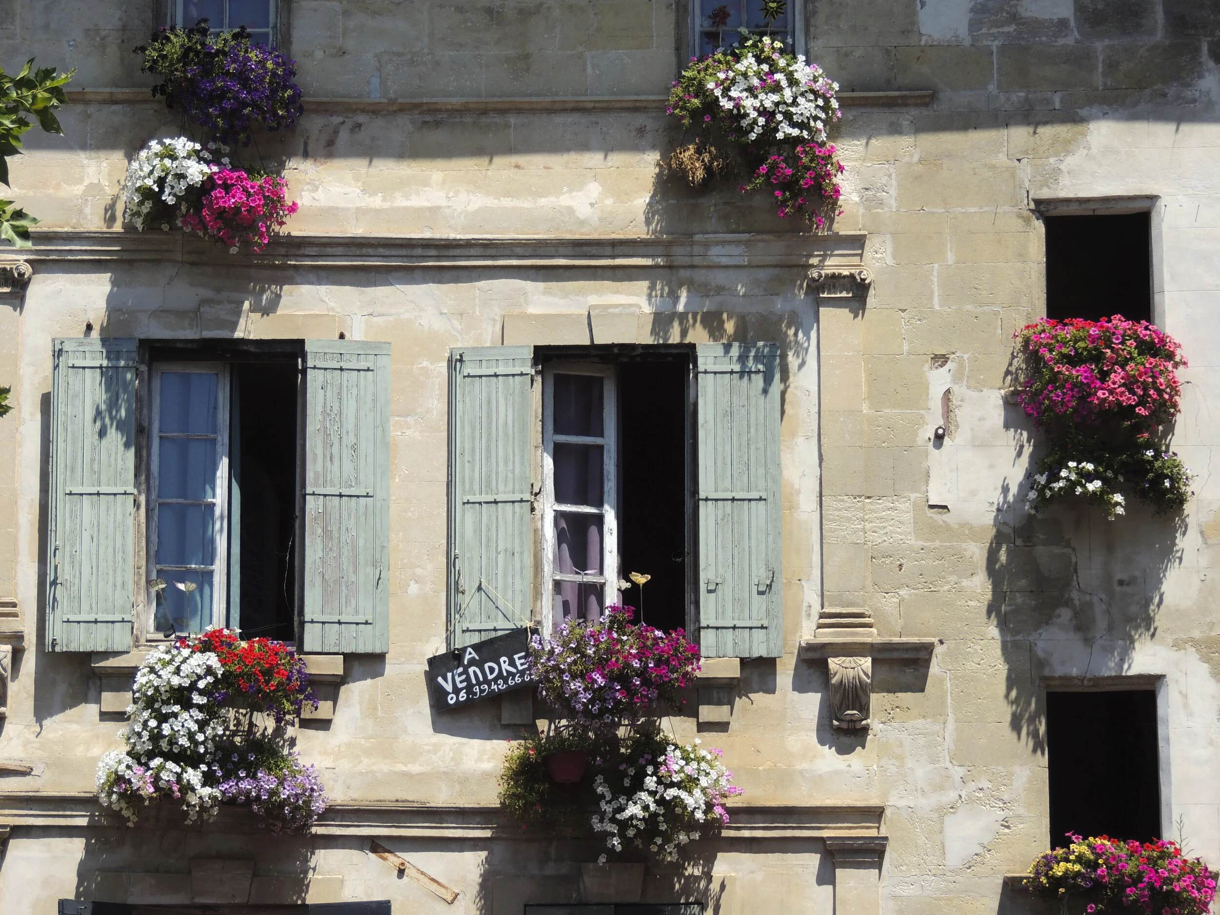 windows with flowers max.jpg