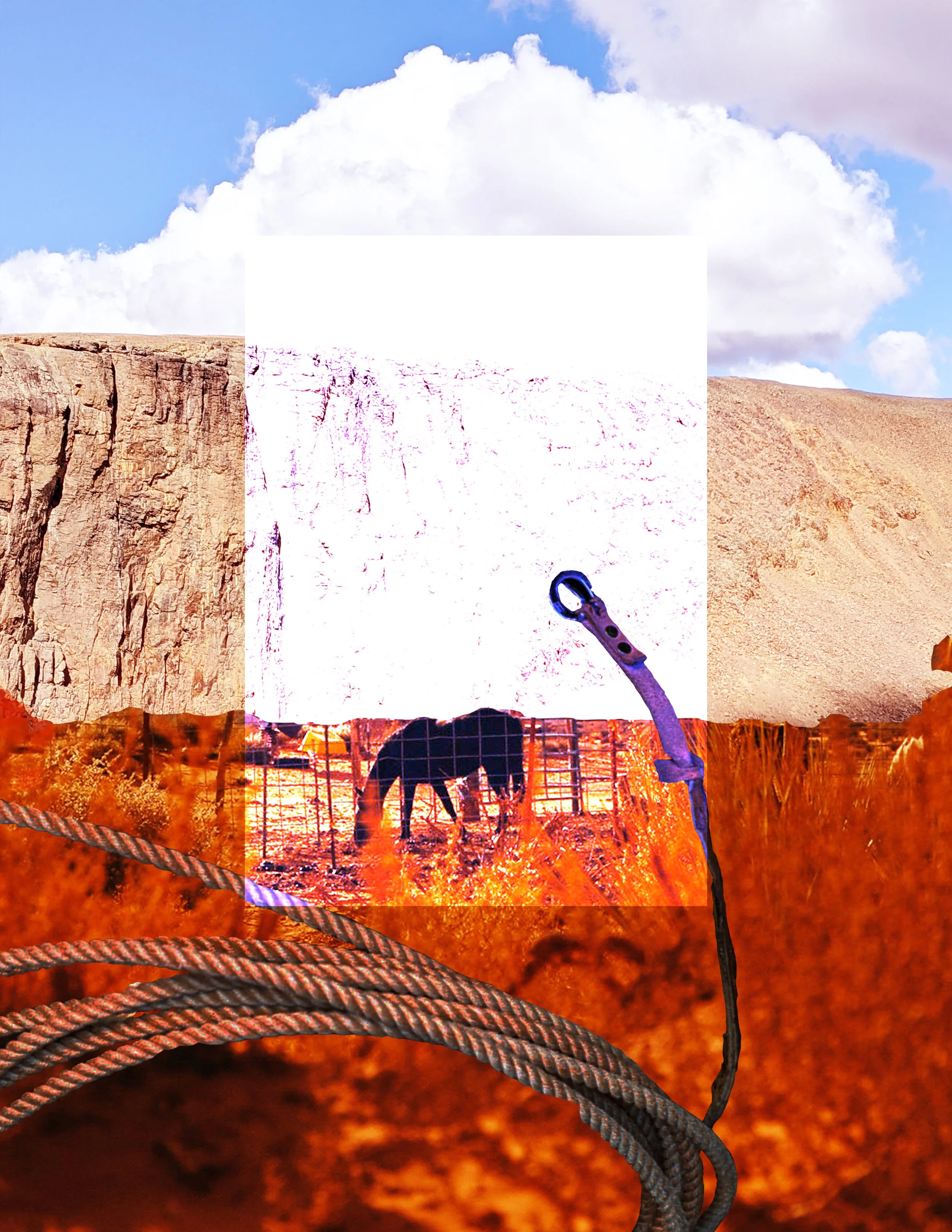 Dame Foundations Desert Collage 1.jpg