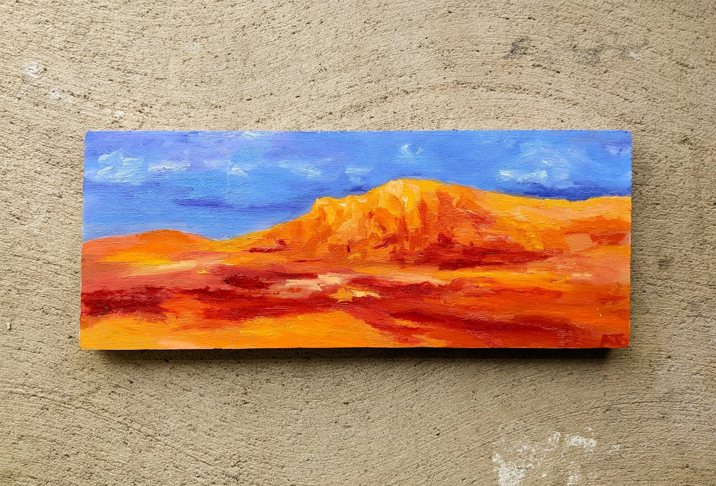 Desert Orange @ Blue Hills.jpg