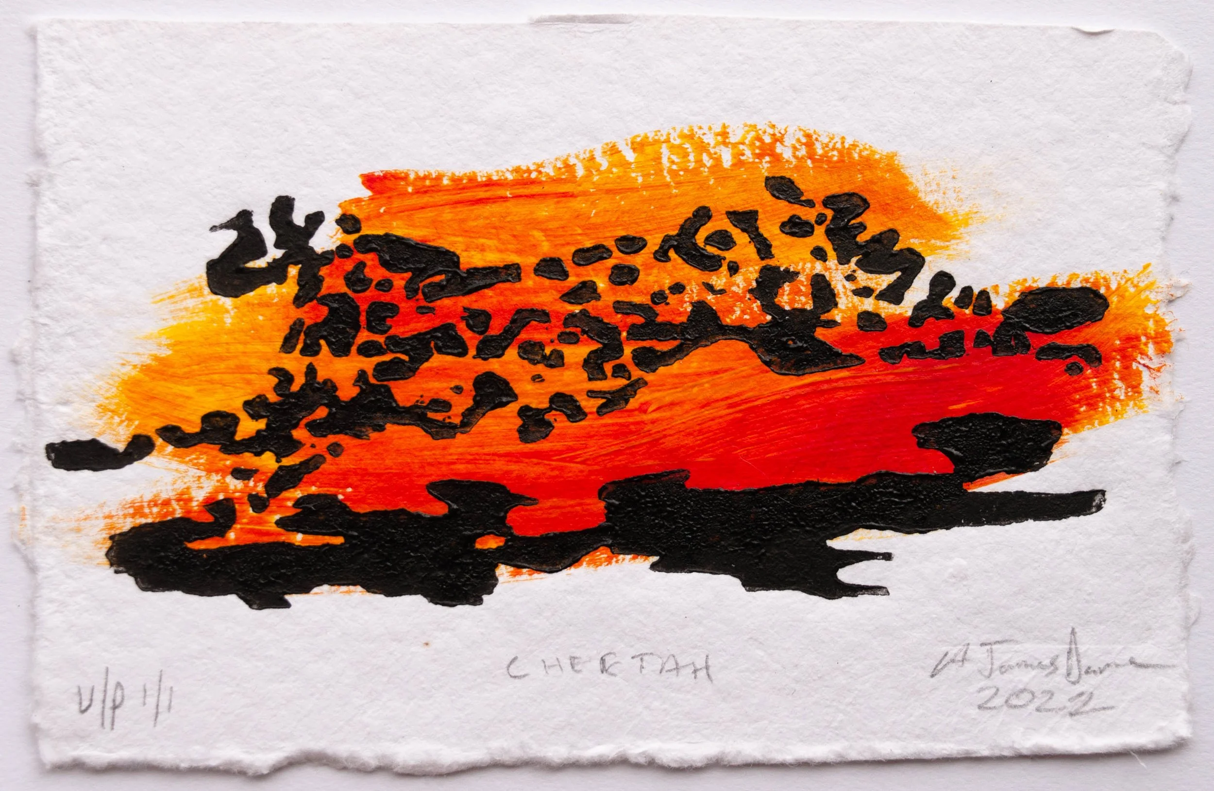 Cheeta print UP 1-1 2022-1.jpg