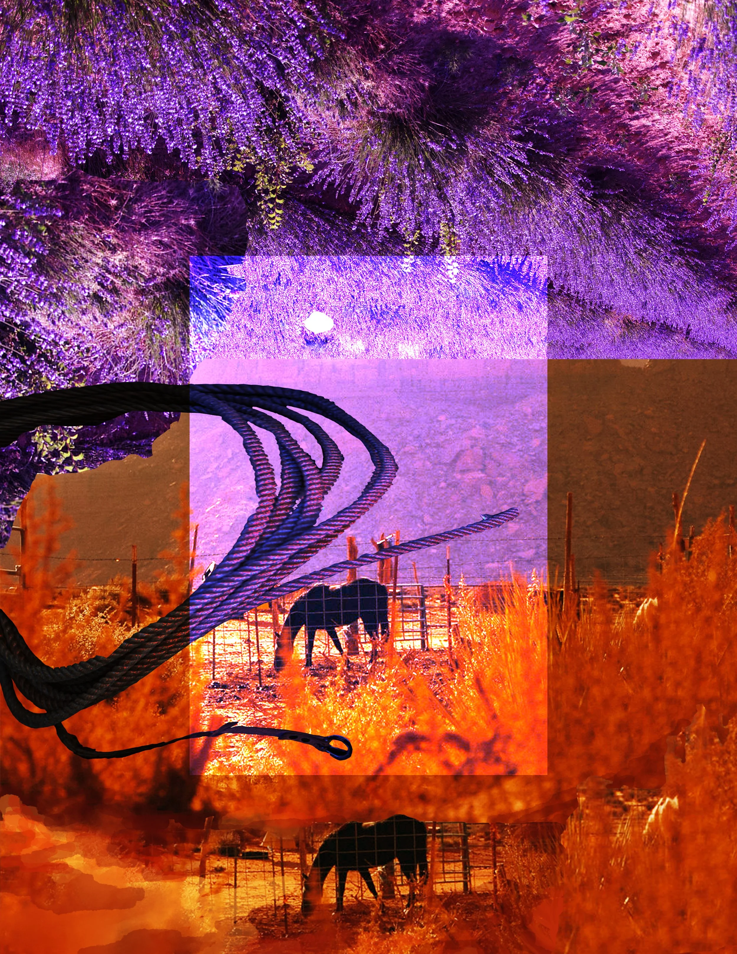 Dame Foundations Collage 2.jpg