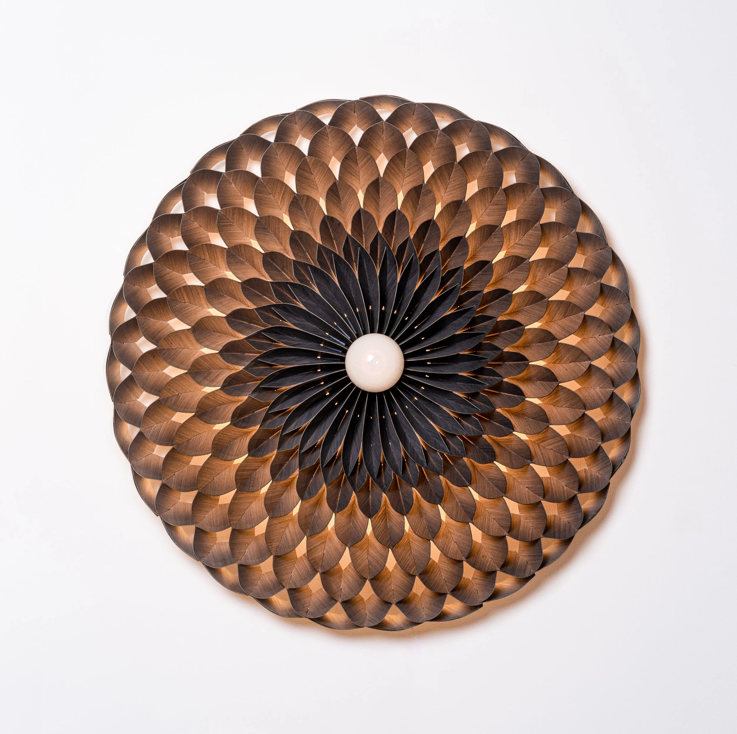 Moon_Edward Linacre_Image by FRANCESCO VICENZI_HR.jpg