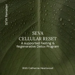 SEVA Cellular Reset: A supported Fasting &amp; Regenerative Detox Program&nbsp;With Catherine Heartwood