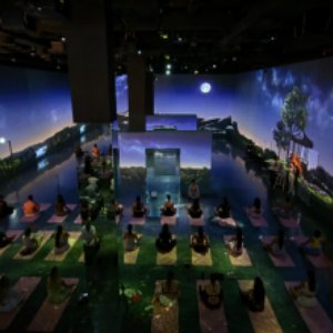 SEVA x ARTE MUSEUM DUBAI International Yoga Day: Yin Yoga and Sound Bath