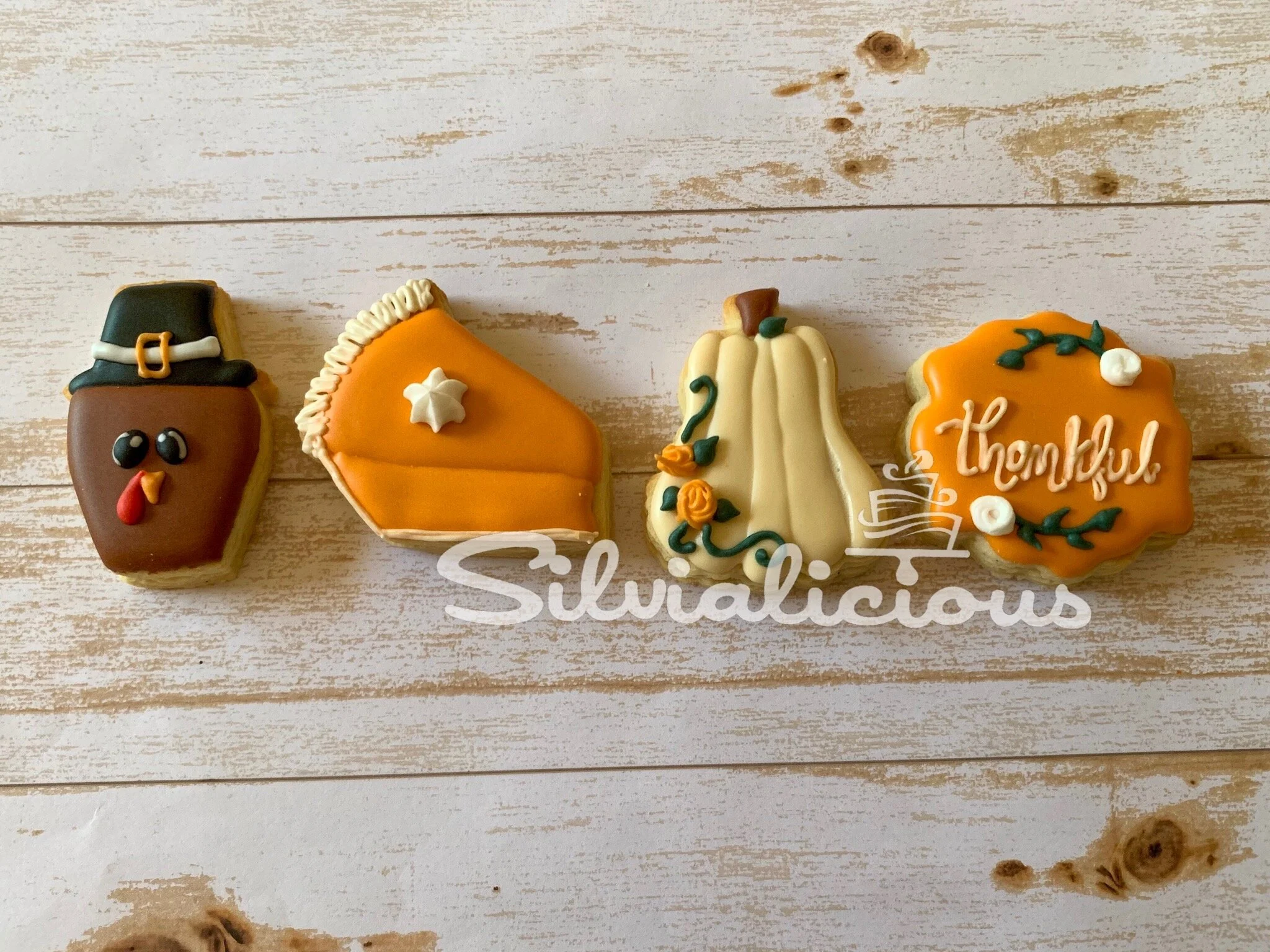 Thanksgiving Minis.JPG