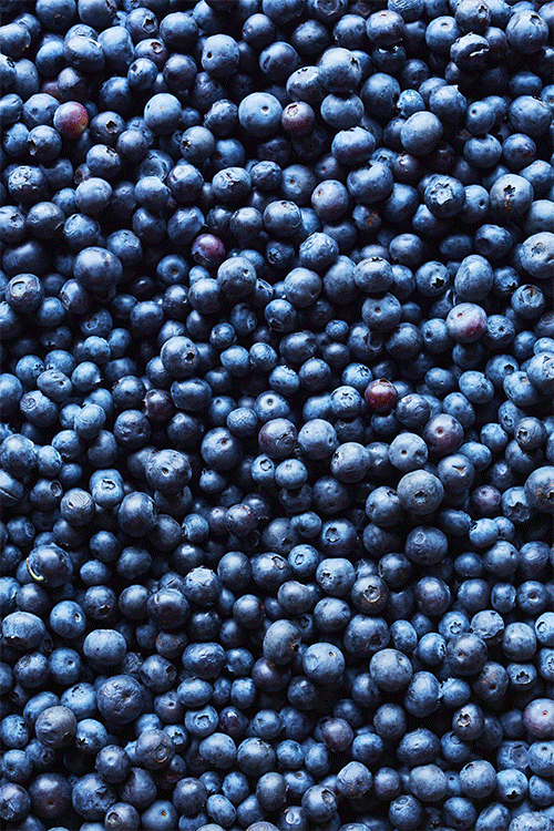 FF_Blueberry_Salad_Animation_SOCIAL.gif