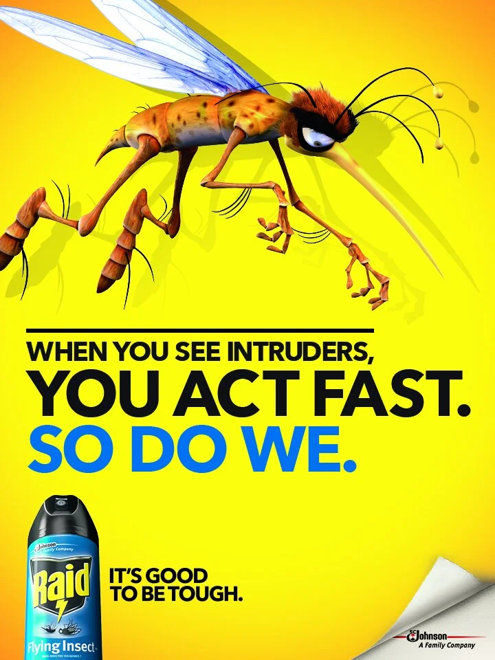 Raid_IA_Poster_B.jpg