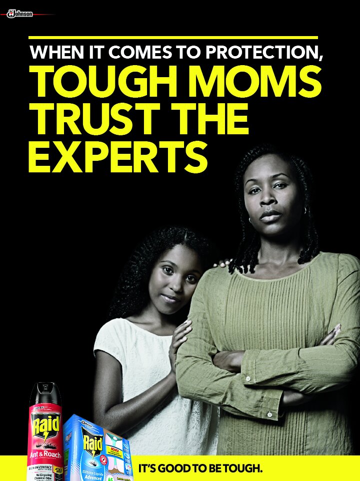 Raid_MDS_Poster_Black_AFRICAN.jpg