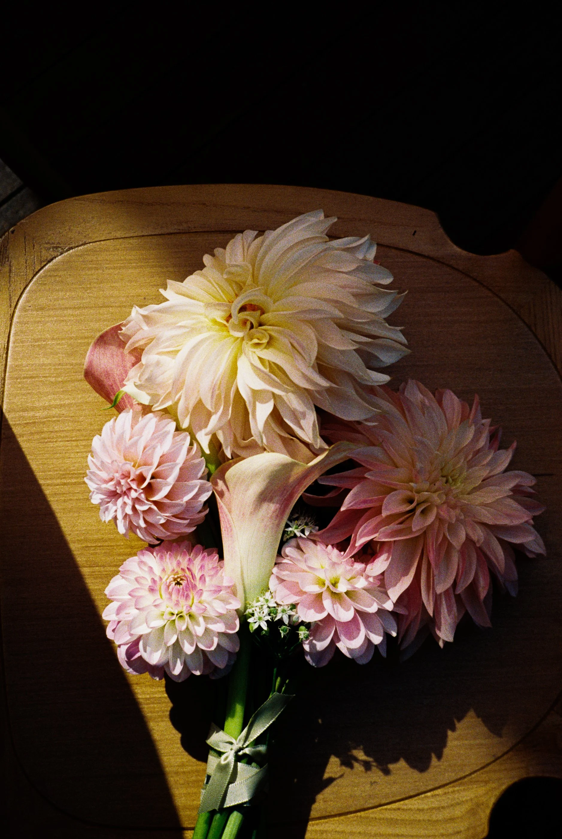 StephanieB202664-R1-012-4A.jpg