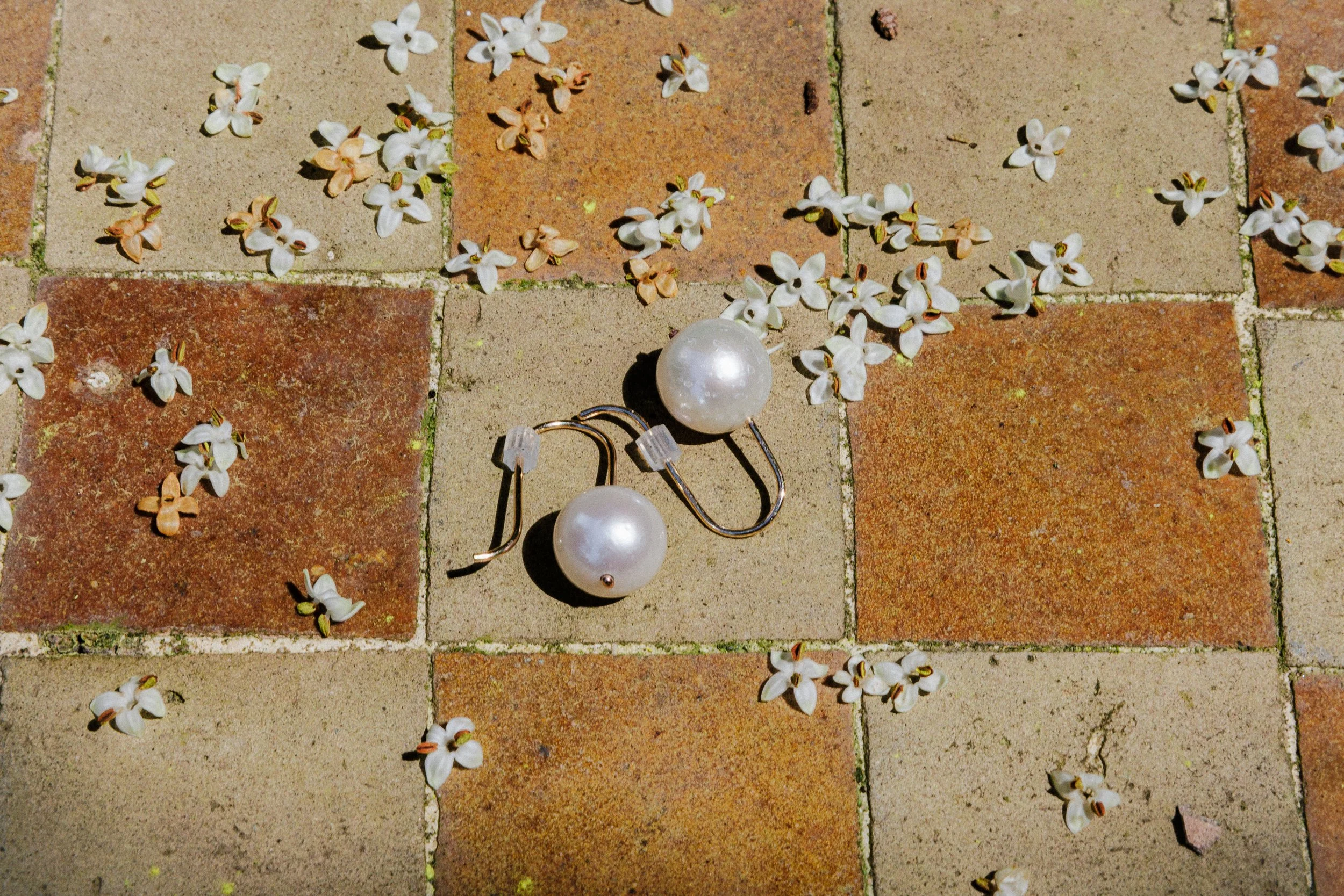 _56A6847.jpg