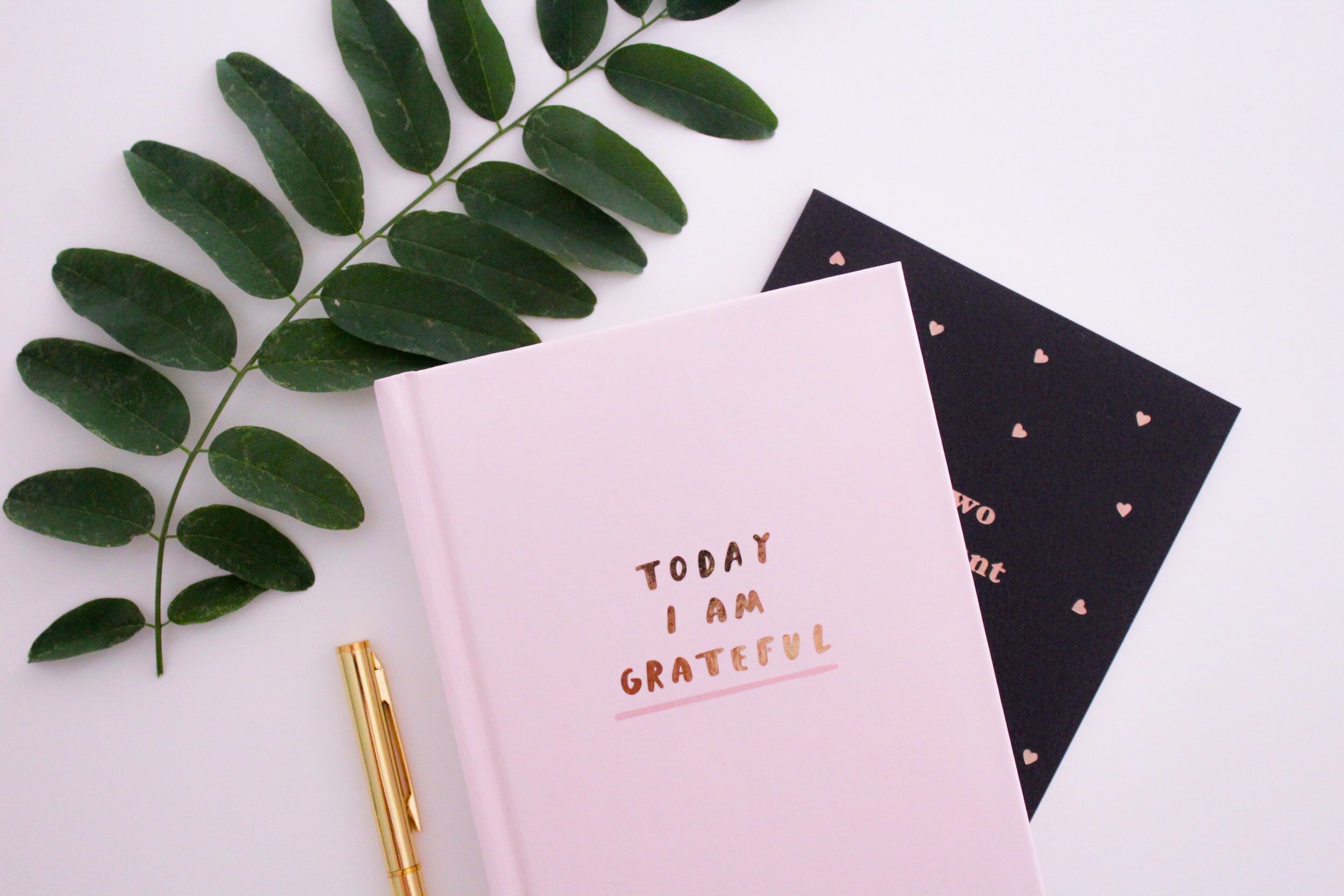 Gratitude is Key