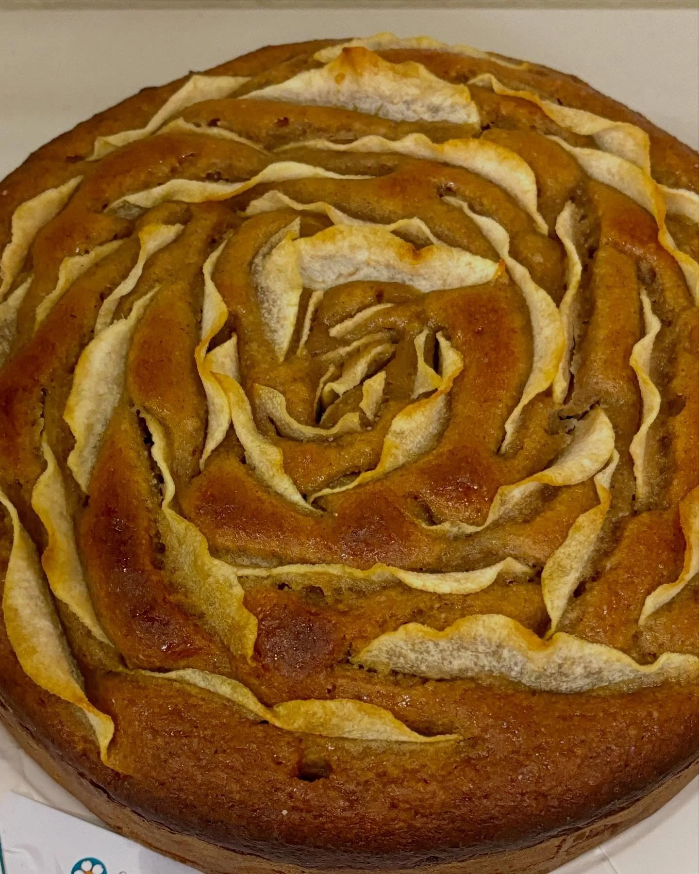 Flashback to some of the prettiest cutest and most delicious @willunga_almond_blossom_festiv Cookery Competition entries I’ve had the pleasure of judging in the last couple of years. 
And a little reminder that there are only 7 more sleeps unt