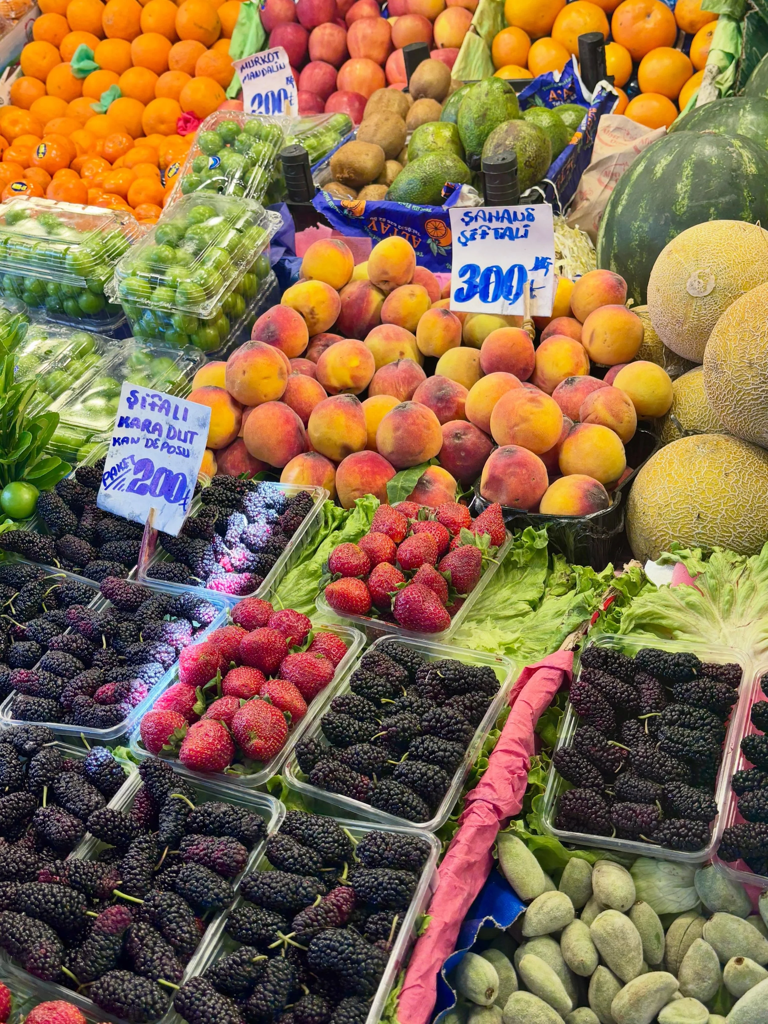 Thank you Istanbul, for your love in equal measures of vibrant colour, produce (especially artichokes!) legumes, pickles, and cute cats - all served up with a generous side of coffee and baklava! We&rsquo;ll be back. 😍🌿