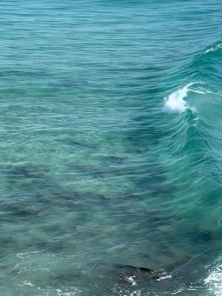 I can get so in my head about how much to feel, if i&rsquo;m processing things &ldquo;properly&rdquo;, spin out about what I should/shouldn&rsquo;t be feeling, how much grief I should let settle into my bones and how much I should alchemise it into s