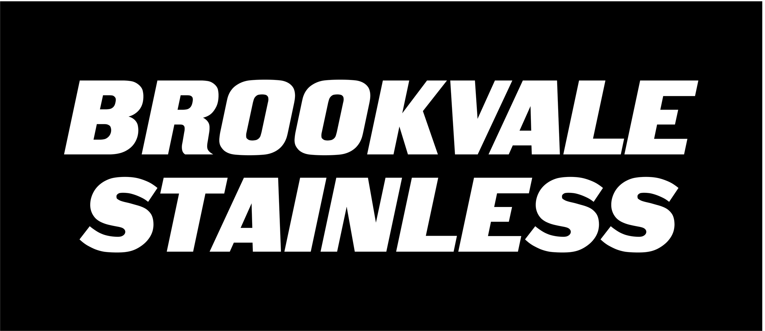 BrookvaleStainless_Logo 1 White on Black.png