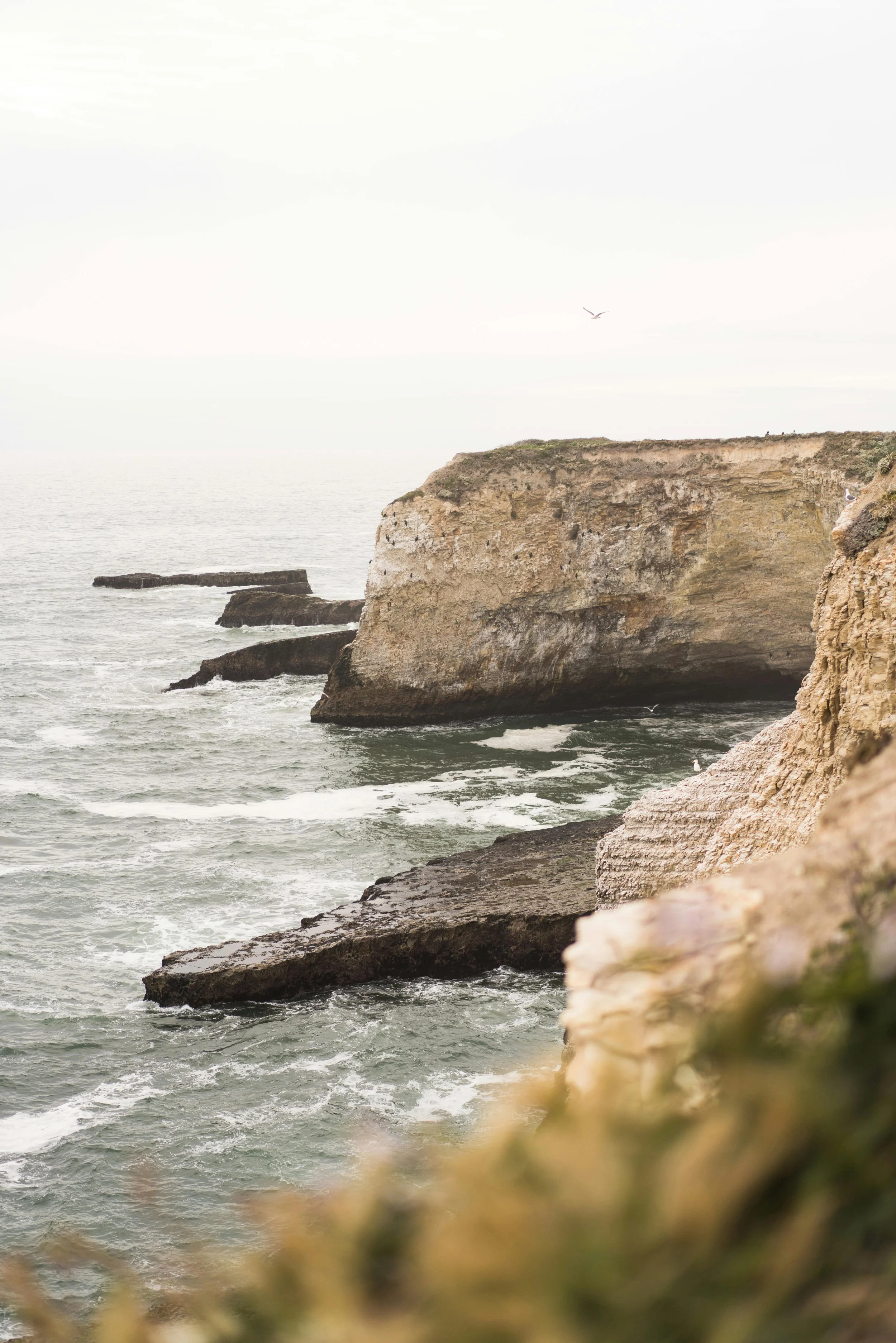 Eureka, CA Let’s Talk Mental Health: A Community Conversation
