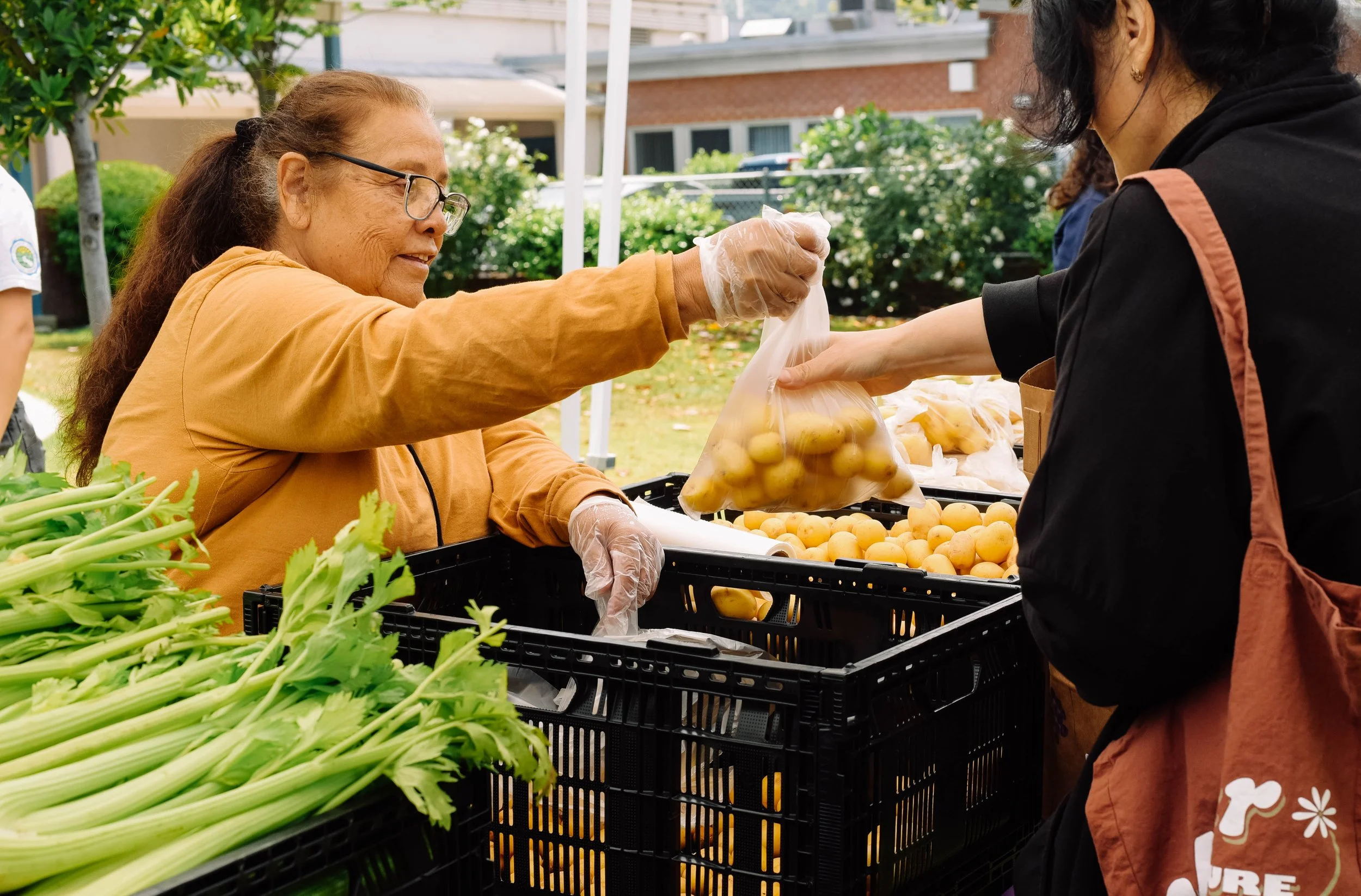 Marshall School Families - Farmers Market 