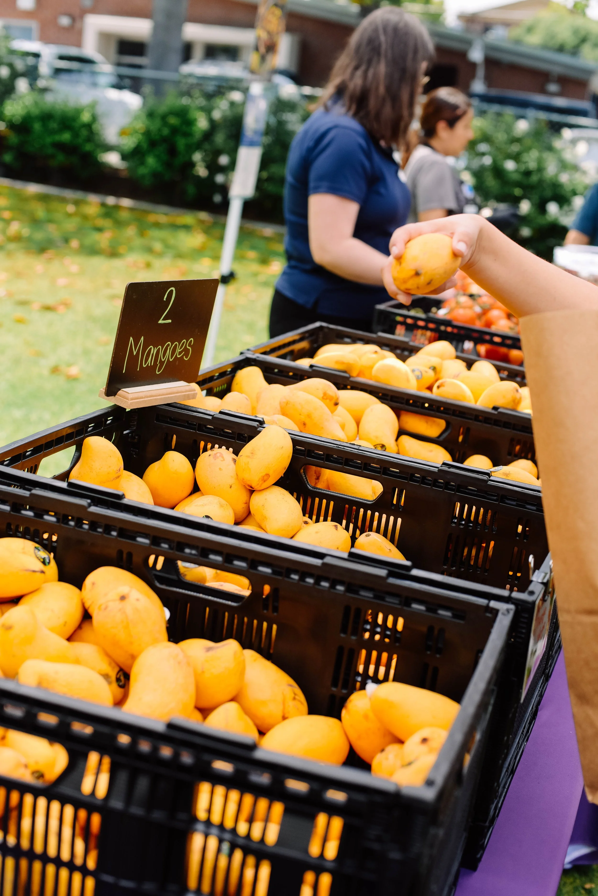 Roosevelt Middle School Families - Farmers Market