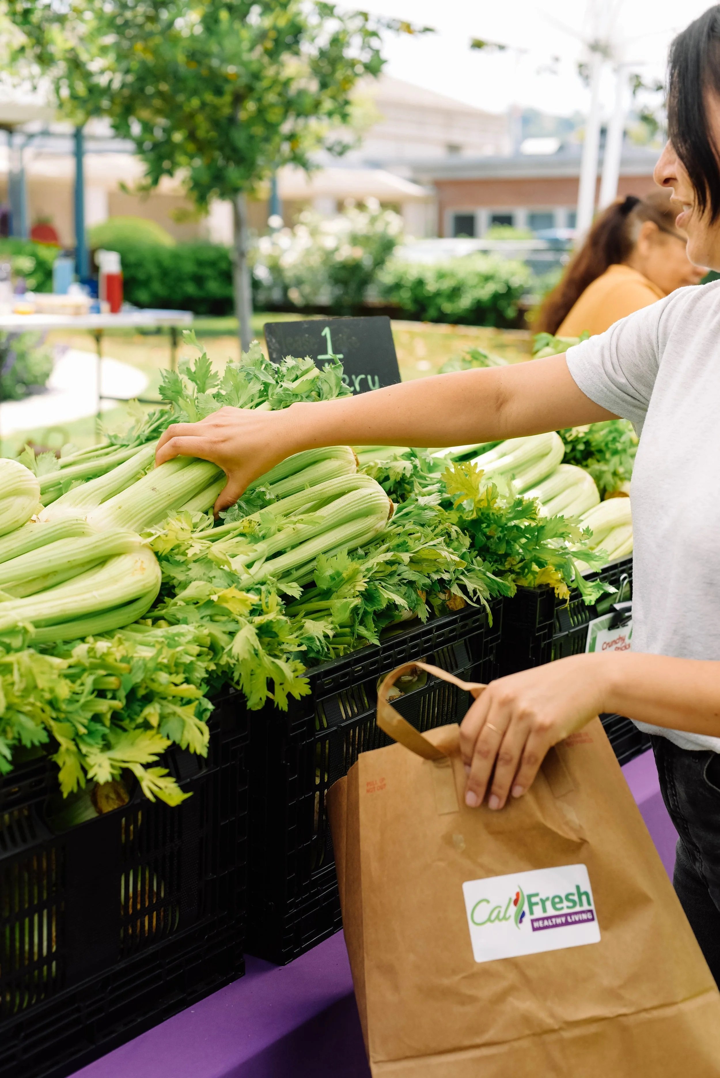 Mann School Families - Farmers Market Event