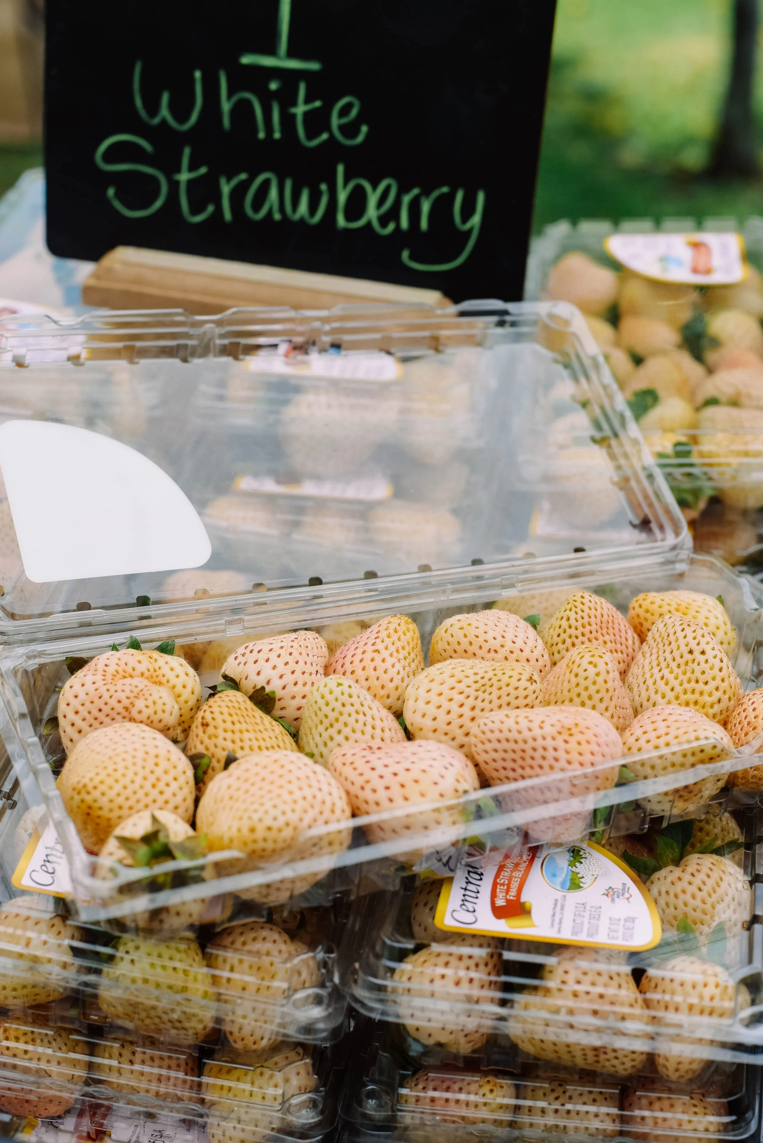 Cerritos School Families - Farmers Market 