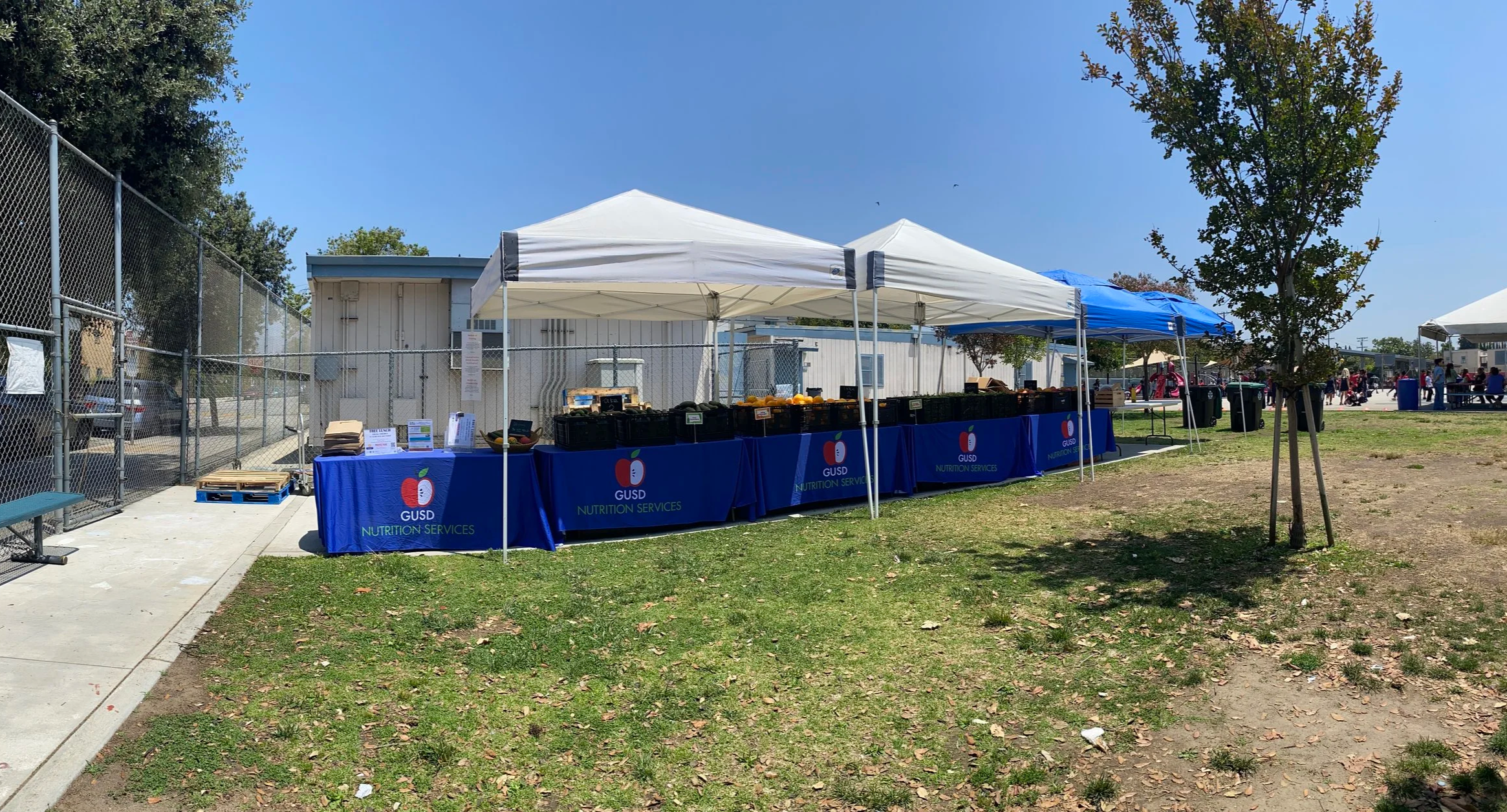Mann Farmers Market Event