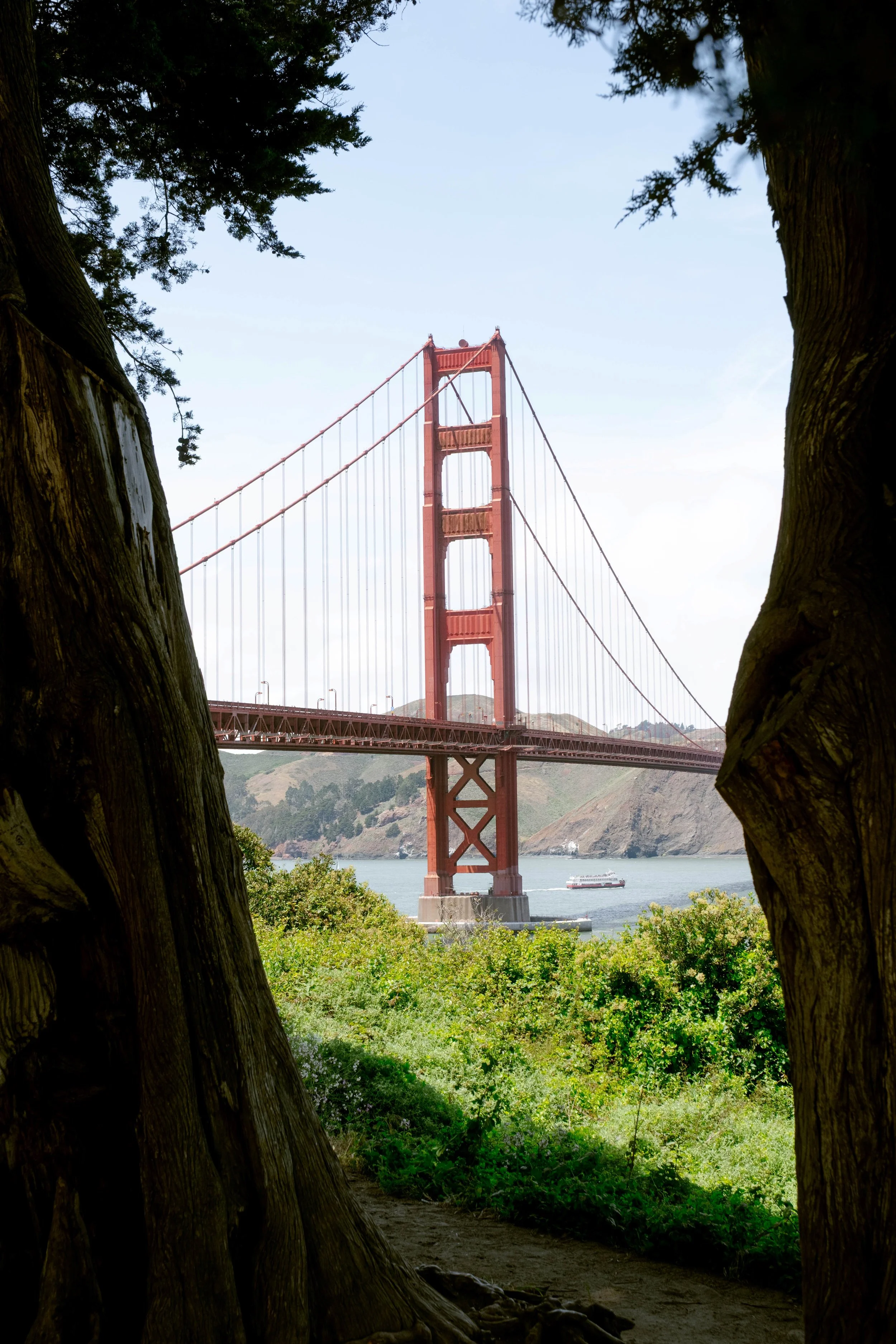 SF02.jpg