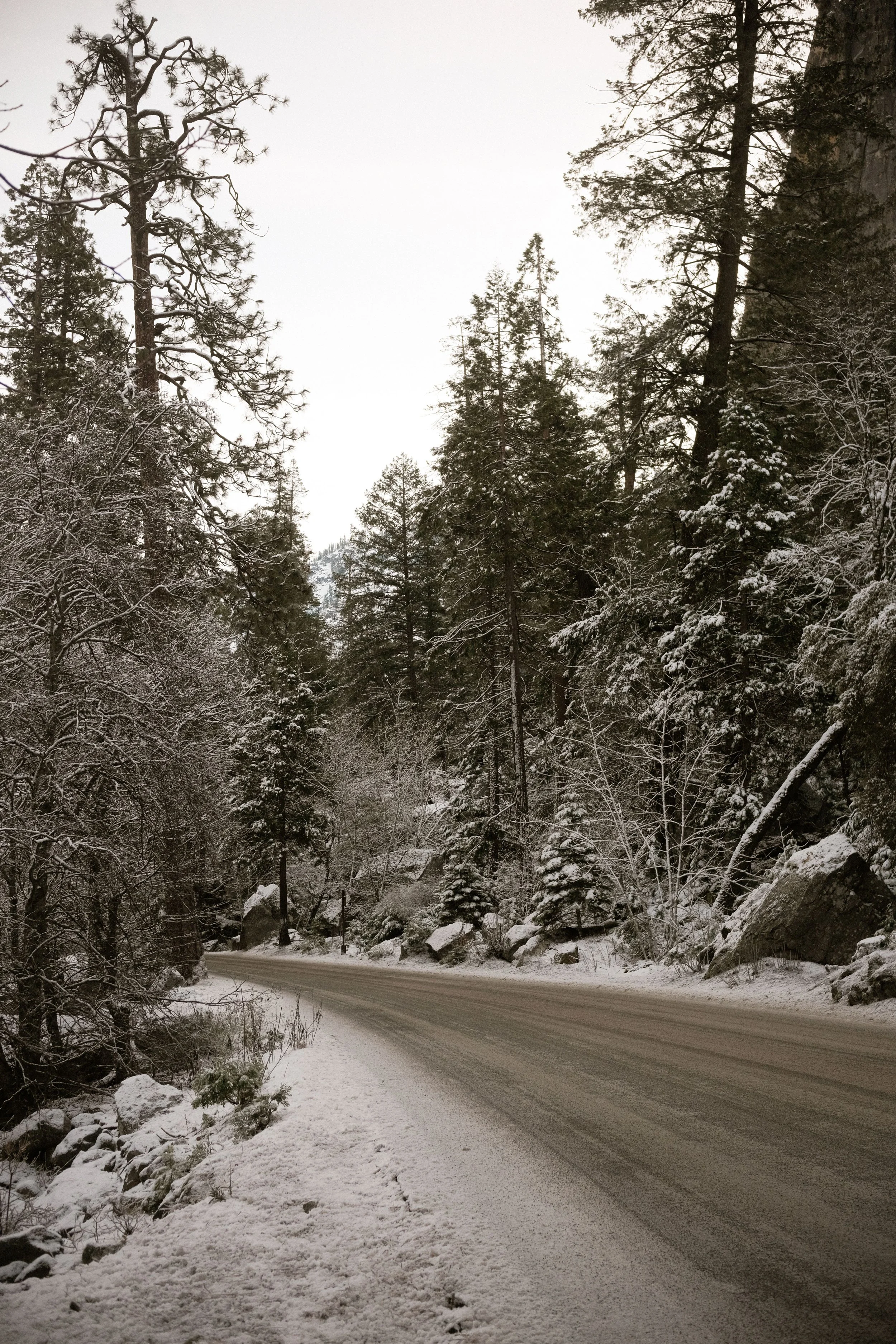 Y07.JPG