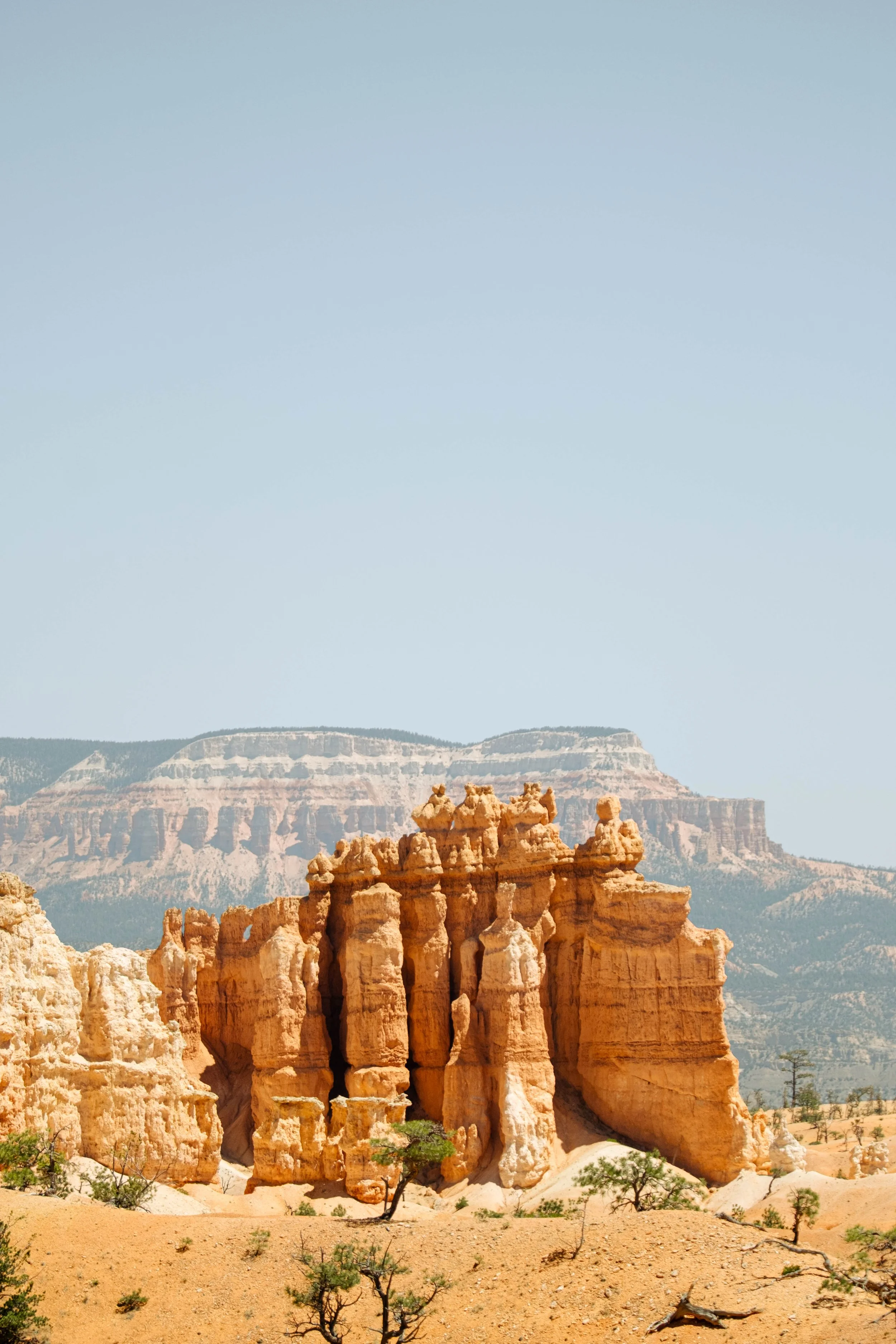Bryce-8.jpg