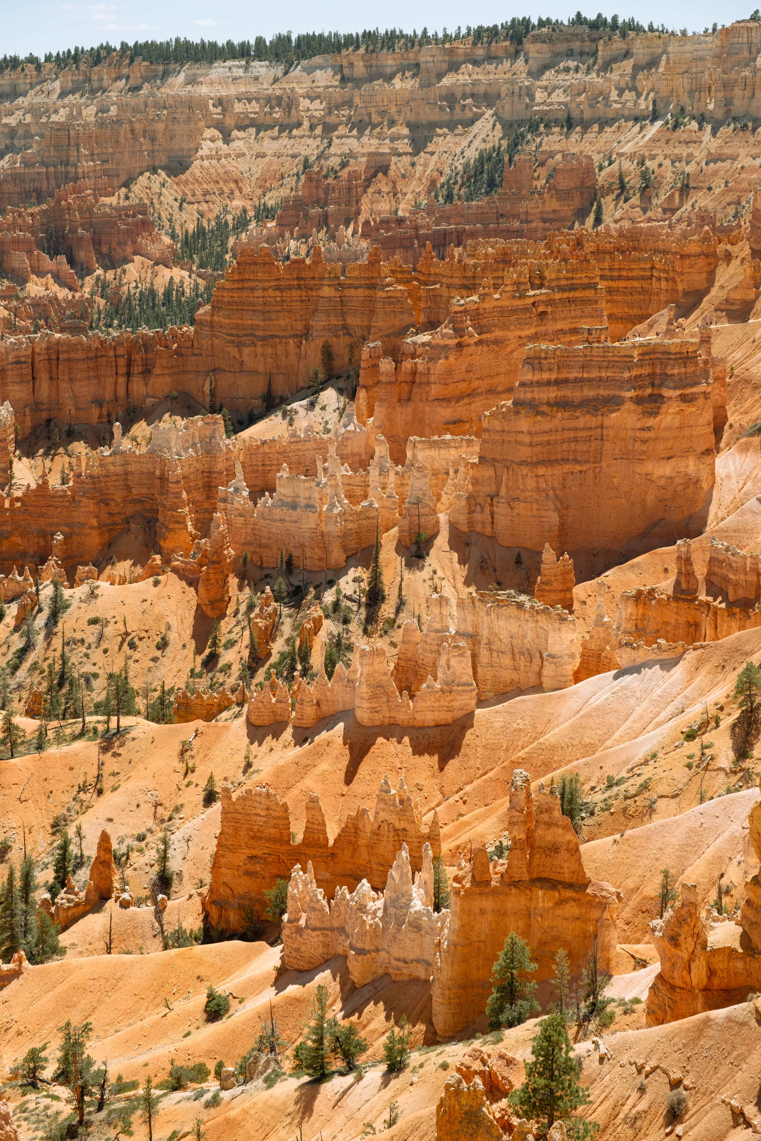 Bryce-18.jpg