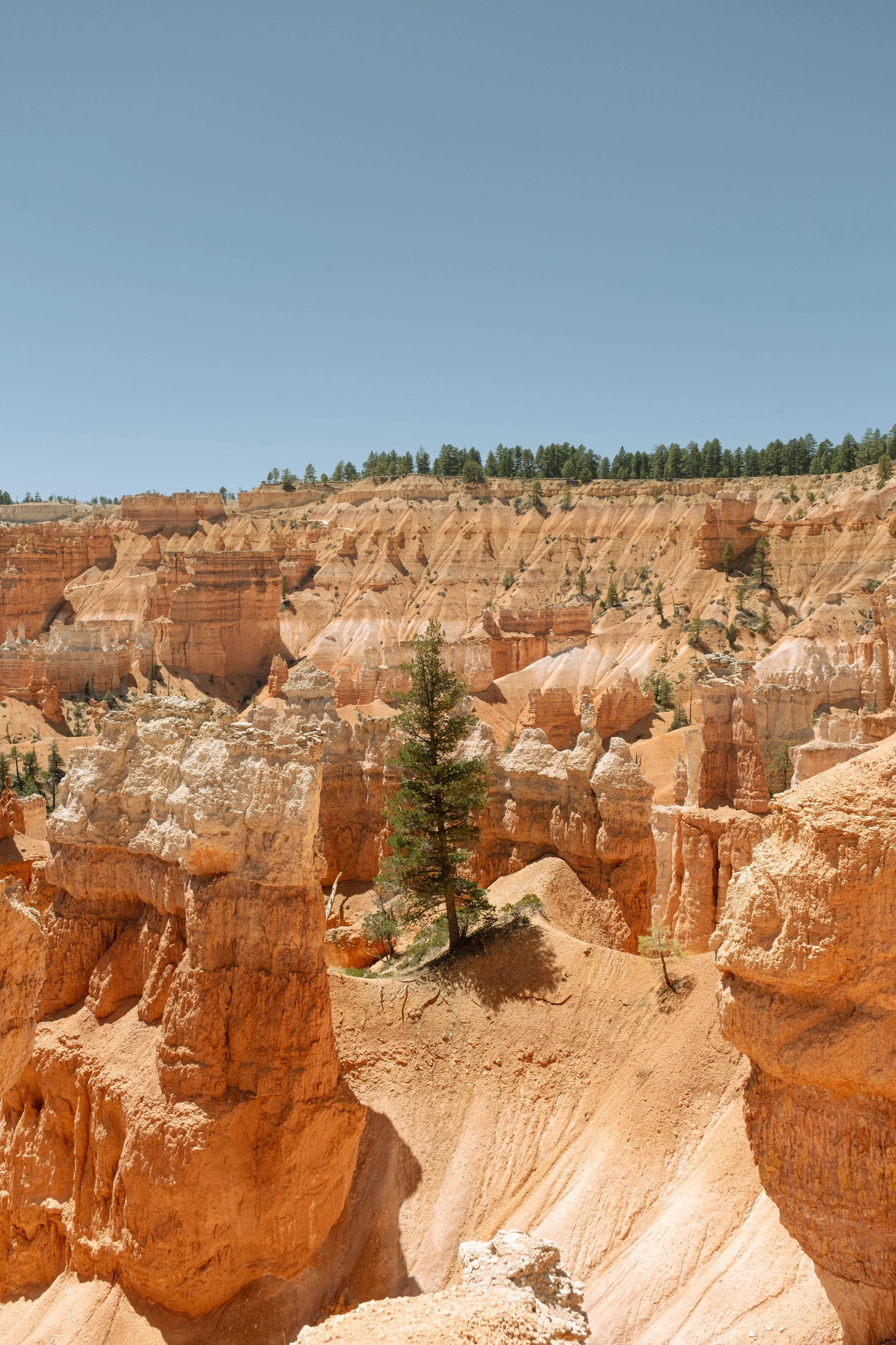 Bryce-17.jpg
