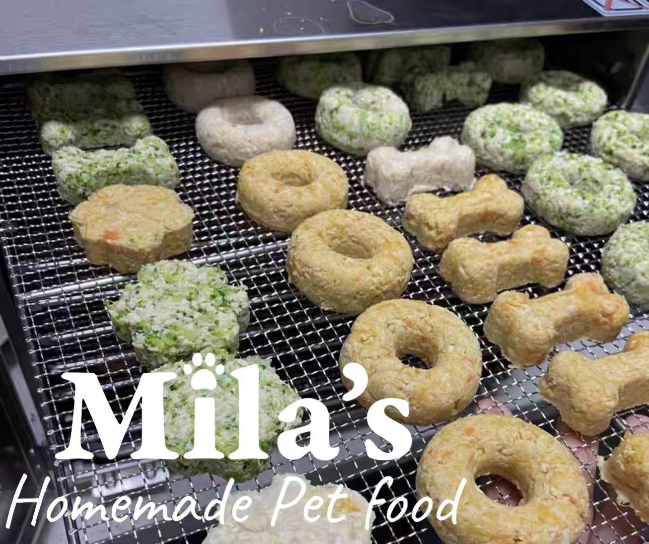 Mila's Photo 1.jpg