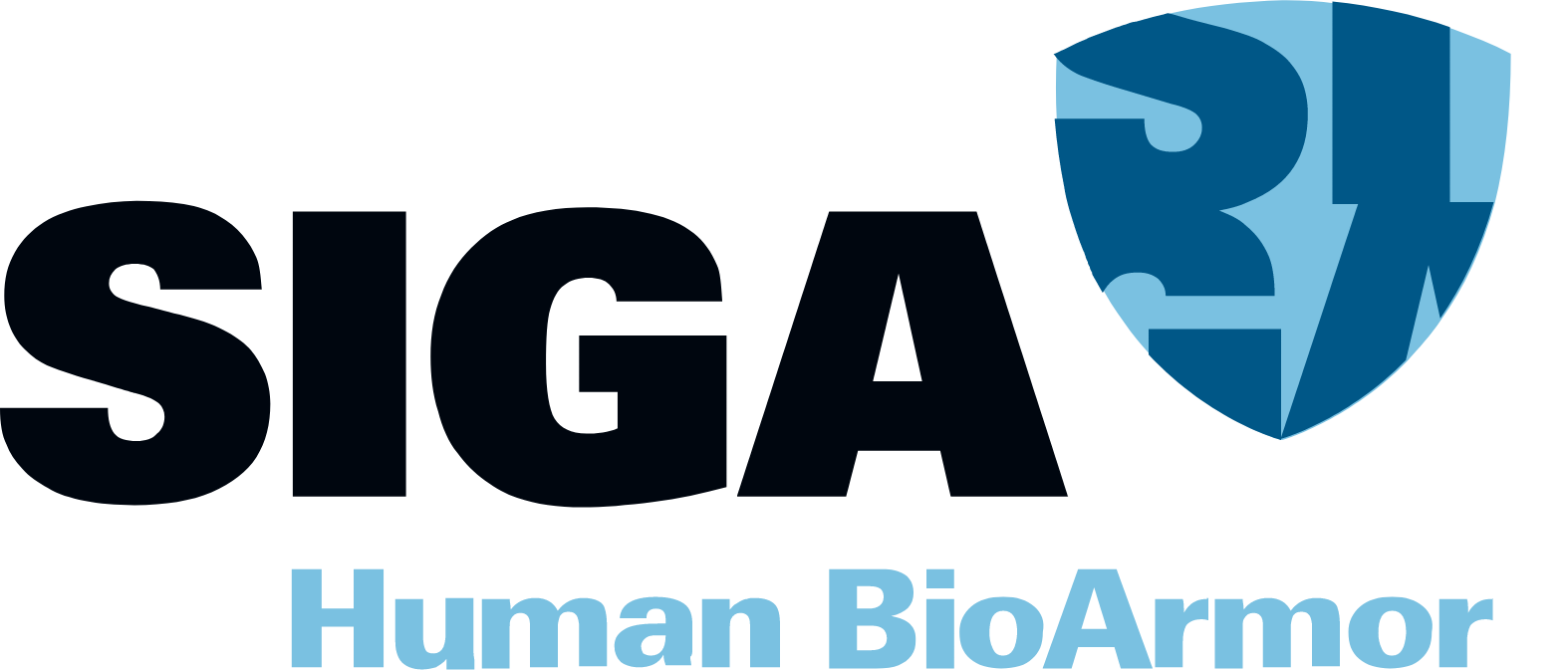 SIGA_BIG-11536bf6.png