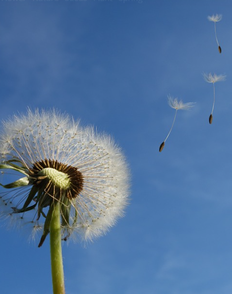 Sticks, Cords, and Heavenly Things: Holy Communion and Mettle Maker #315