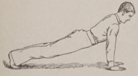 OSF Front Plank.png