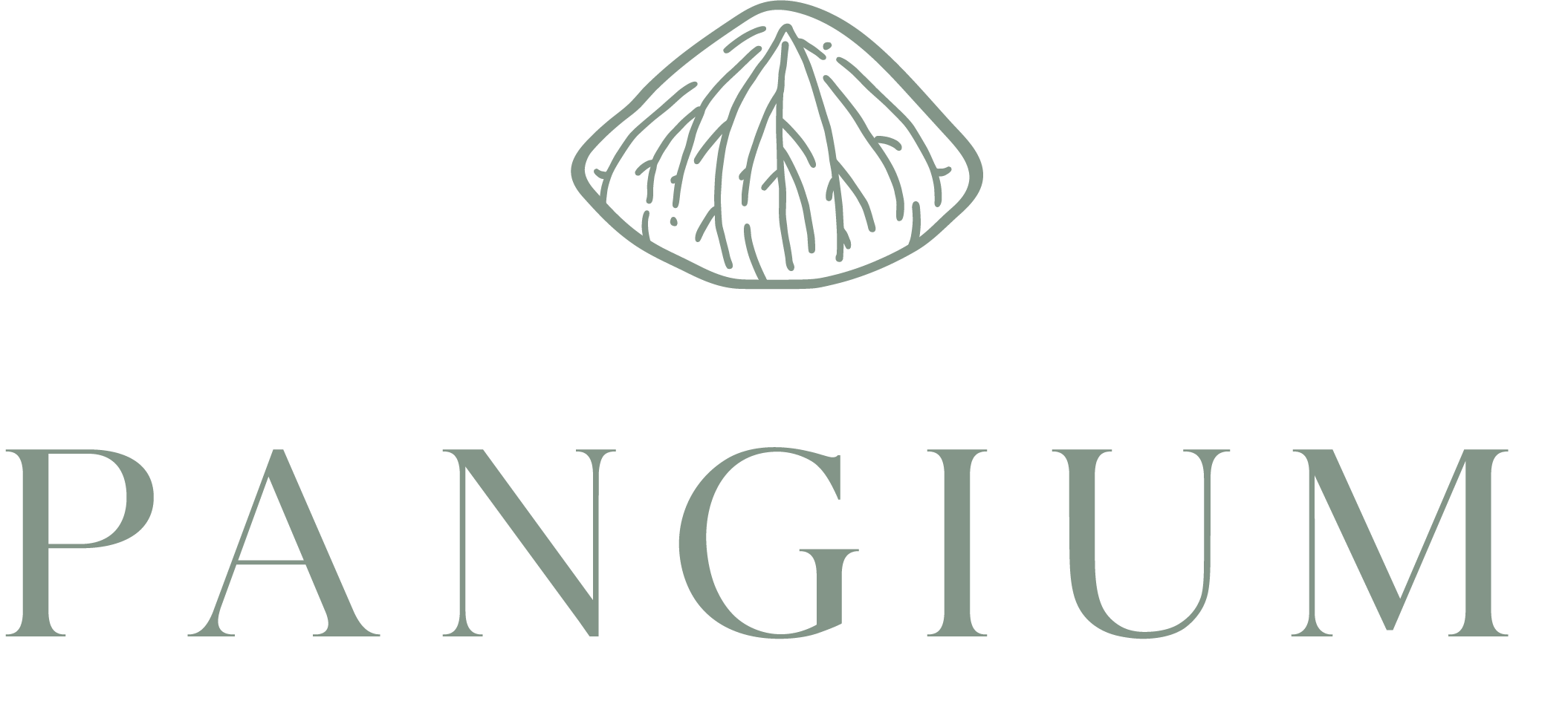 Pangium.webp