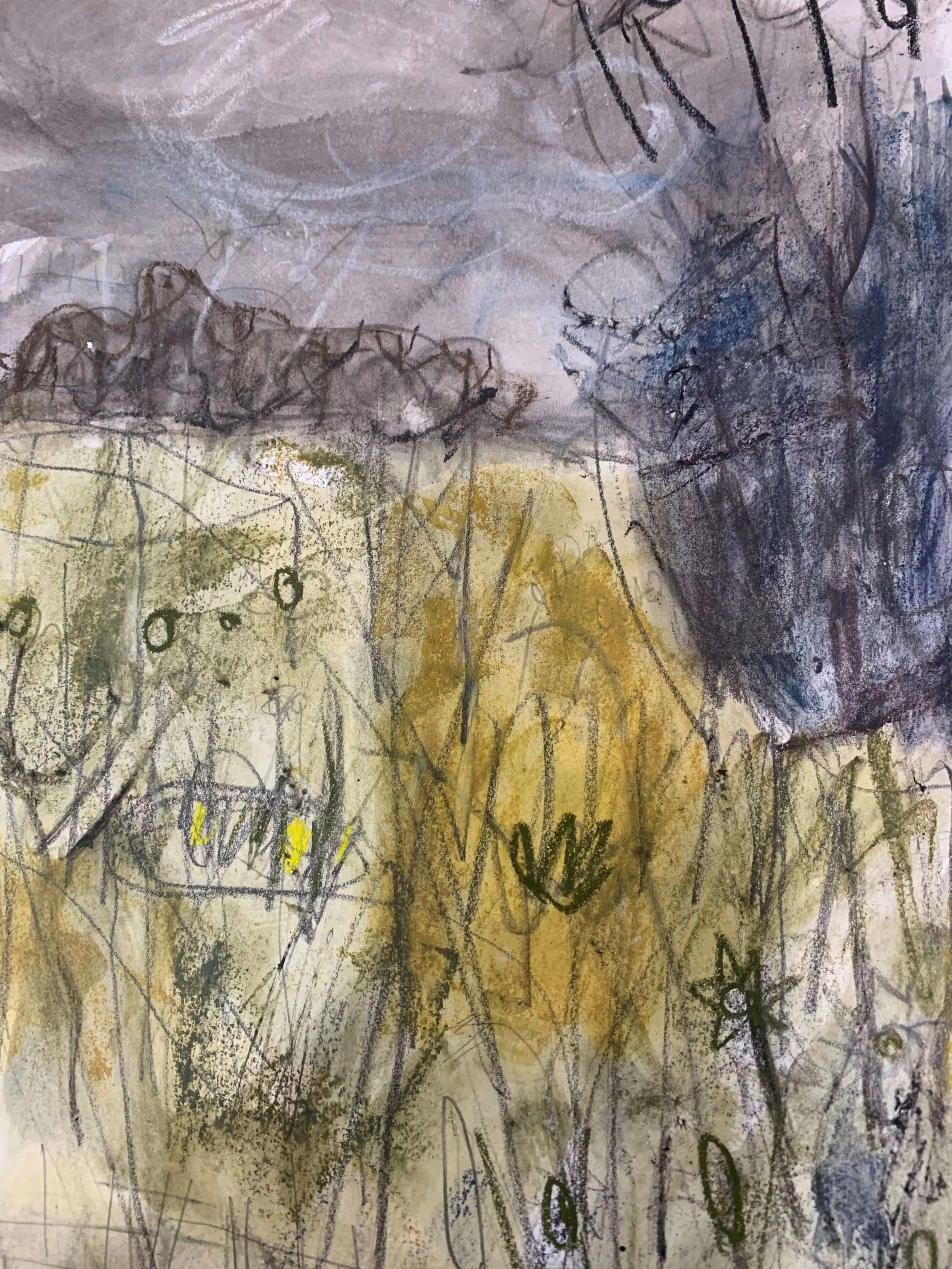 Sketchbook from the allotment