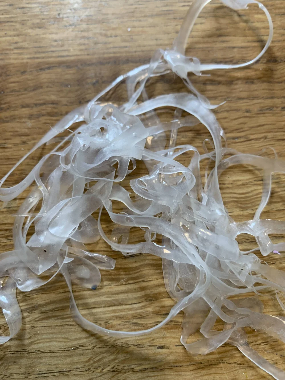 my failed stencils.jpeg