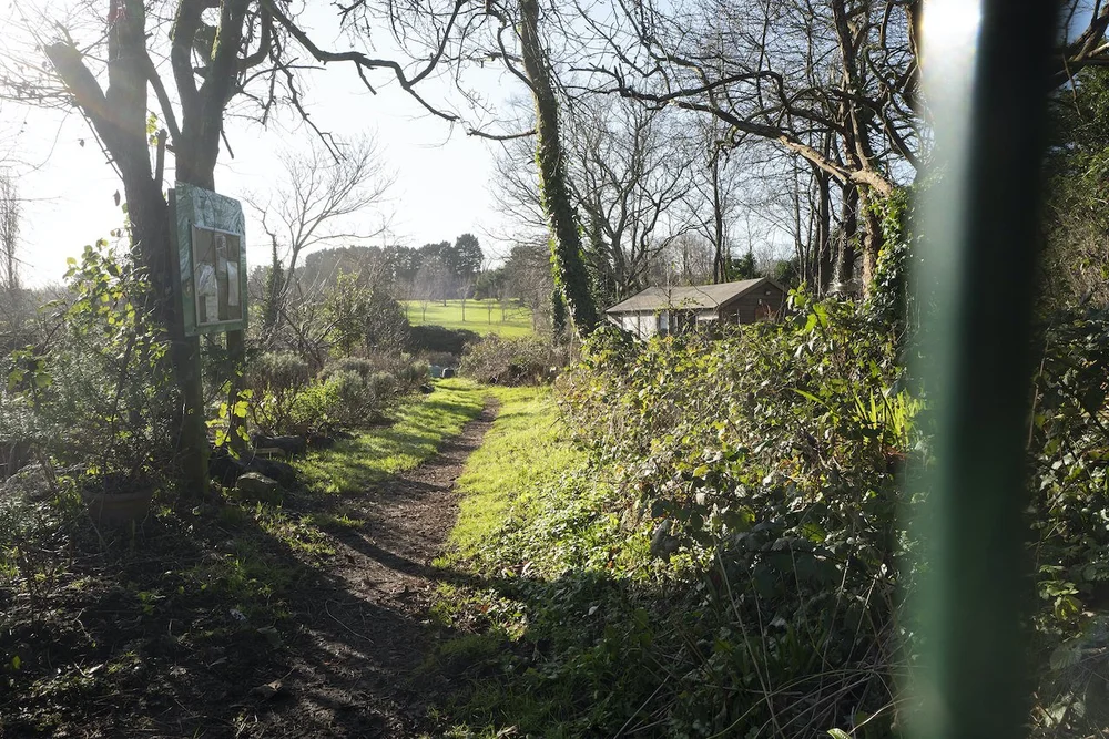 arcadian landscape.jpeg