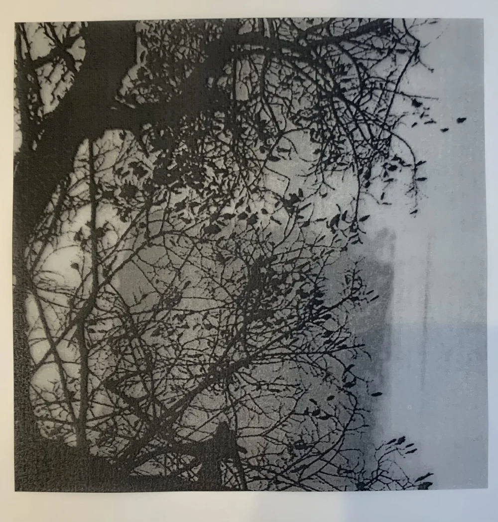 Layered prints on tracing paper