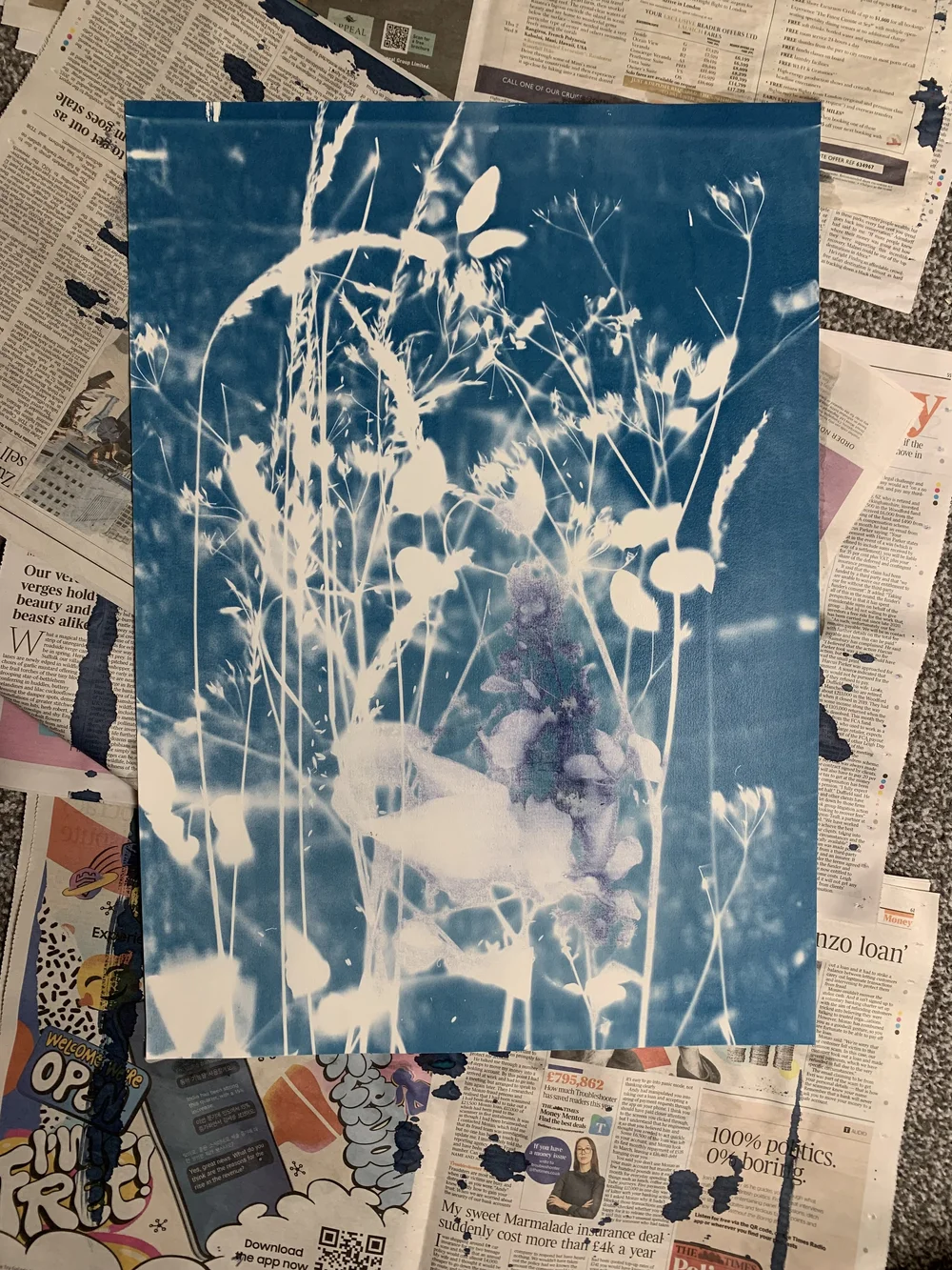 A2 cyanotype of weeds
