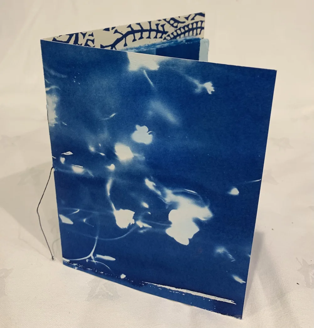 Cyanotype booklet with endpapers