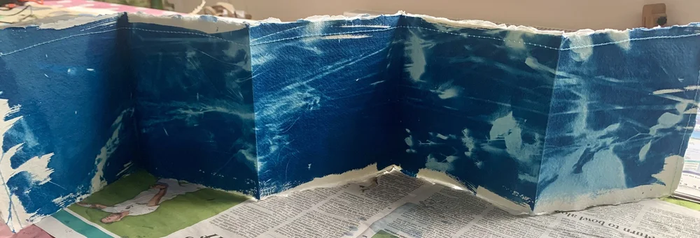 Concertina cyanotype