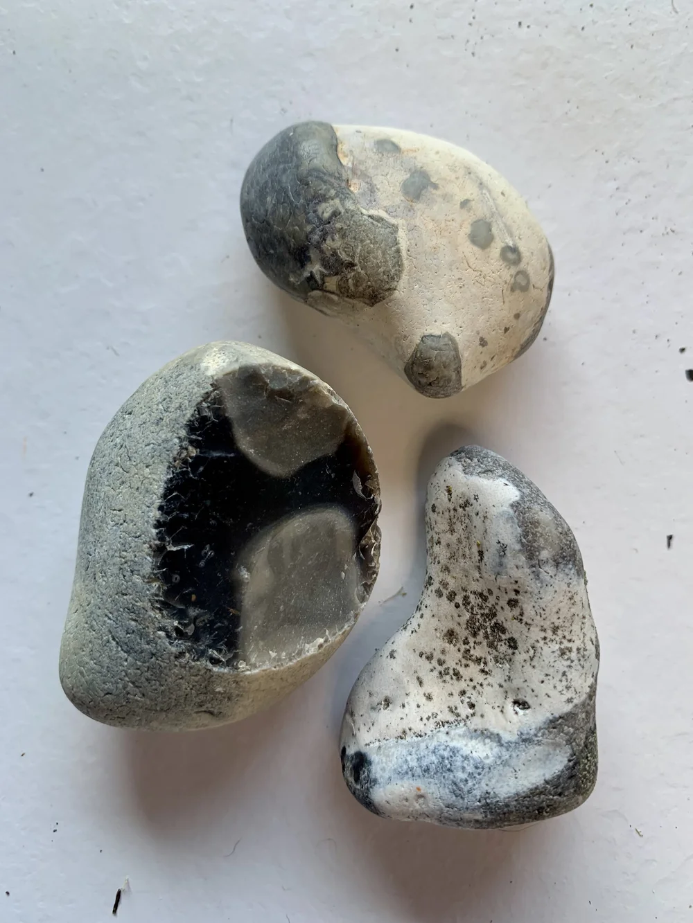 Pebbles, Pevensey
