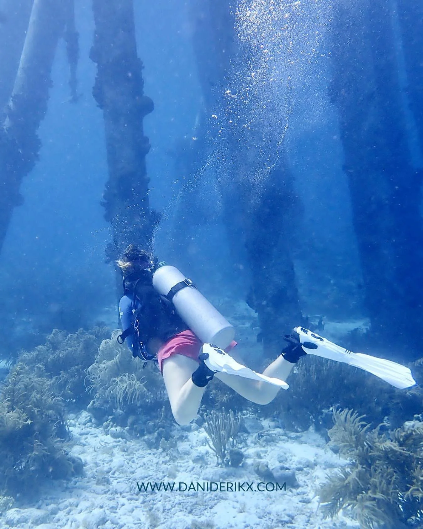 🫧 In case you were wondering, still blowing bubbles over here! 🫧
⠀⠀⠀⠀⠀⠀⠀⠀⠀
&bull;
&bull;
&bull;
⠀⠀⠀⠀⠀⠀⠀⠀⠀
#Bonaire #islandlife #diving #scubadiving #bubbles #passion #dreamlife #fun #nature #ocean #Caribbean 
⠀⠀⠀⠀⠀⠀⠀⠀⠀
⠀⠀⠀⠀⠀⠀⠀⠀⠀
📸 @awan_i0