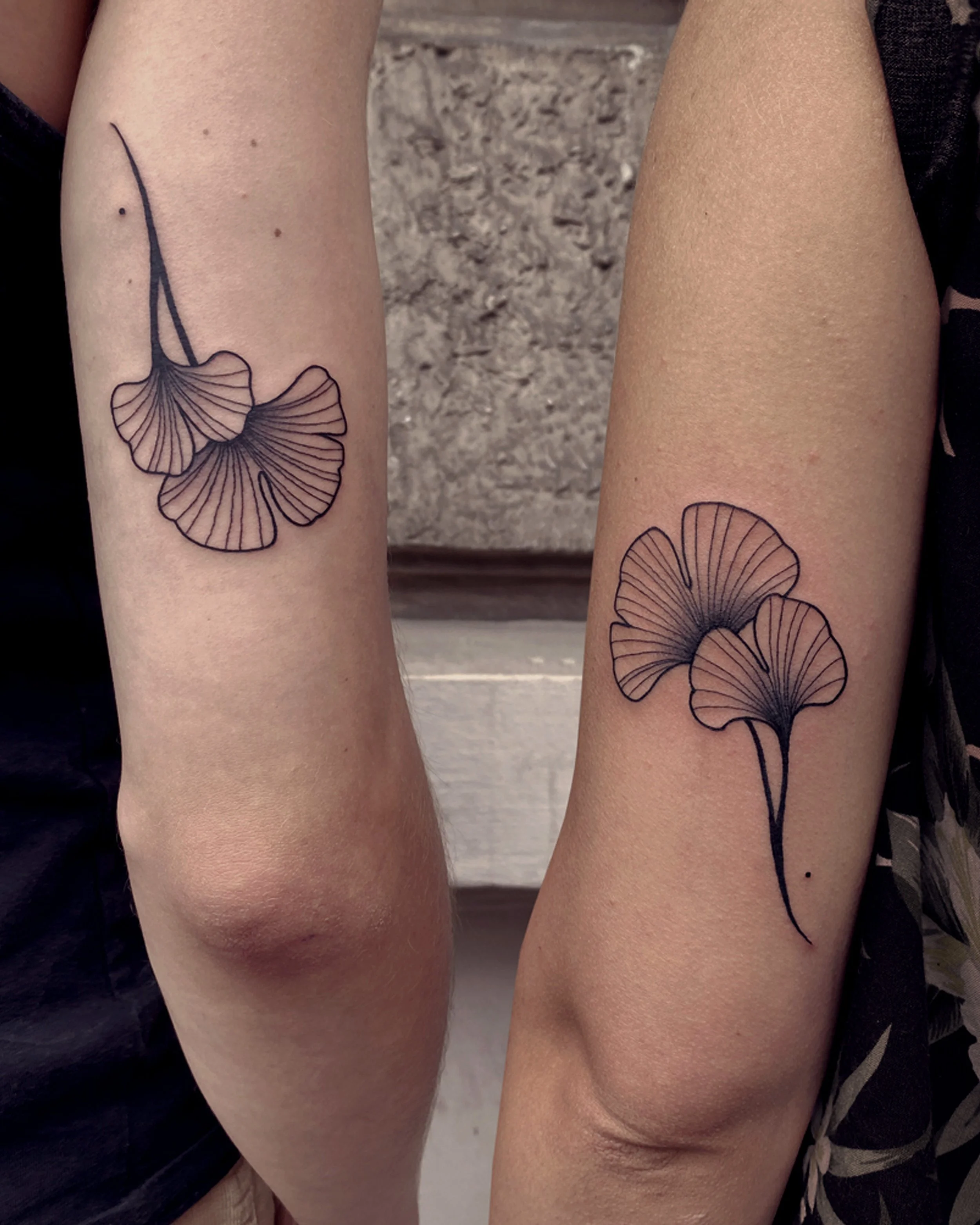 ginkgo8.jpg