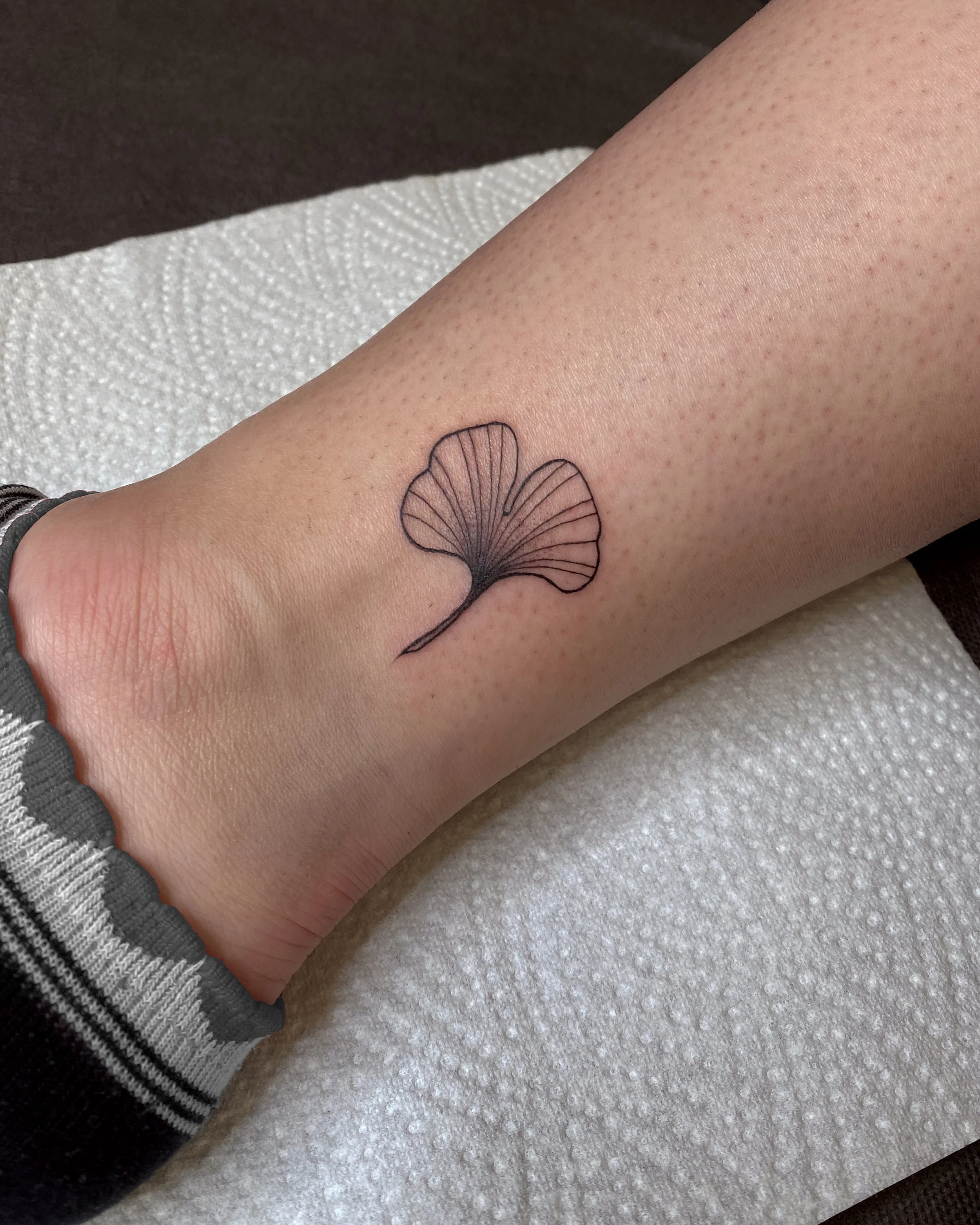 ginkgo1.jpg