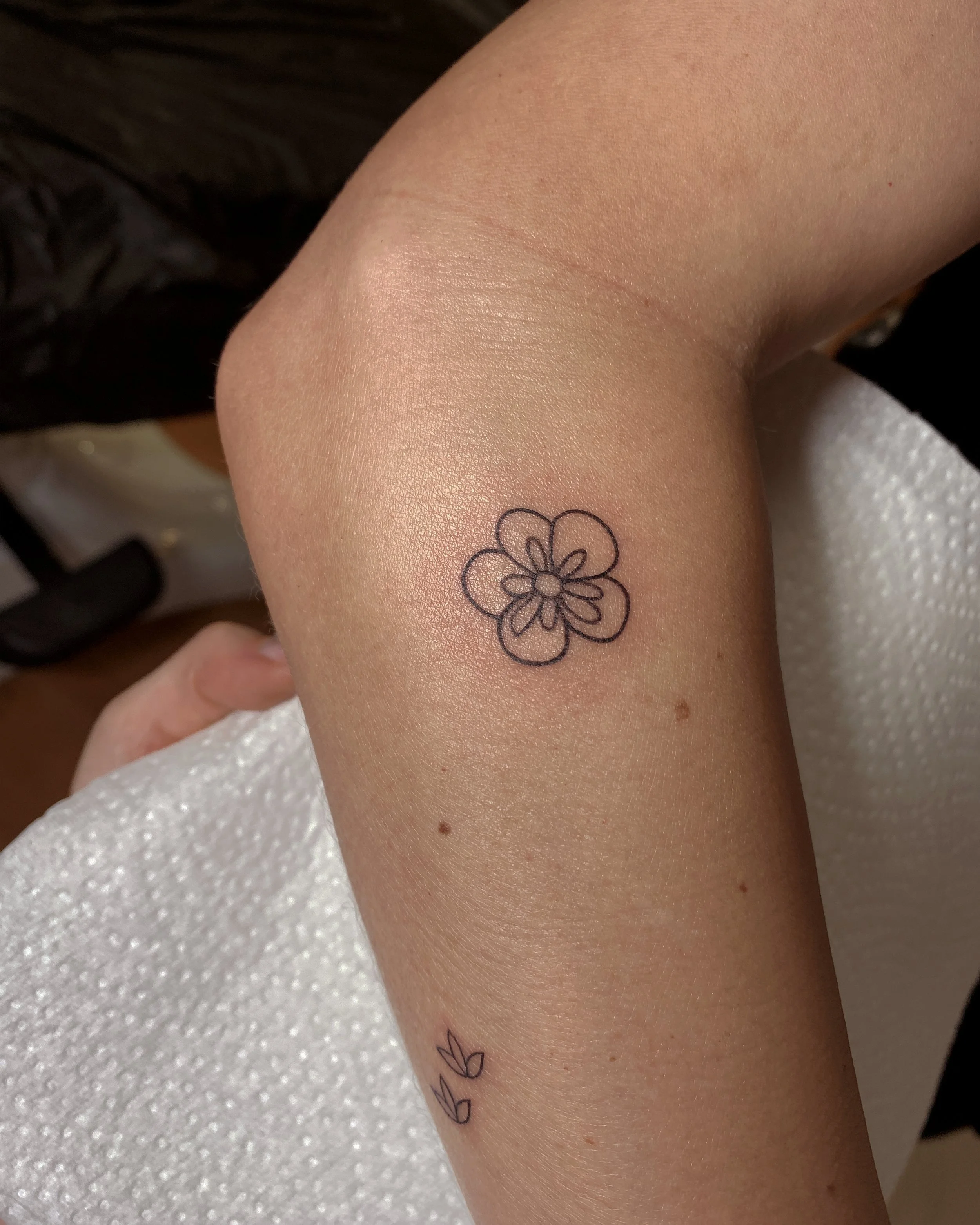 blume17.jpg