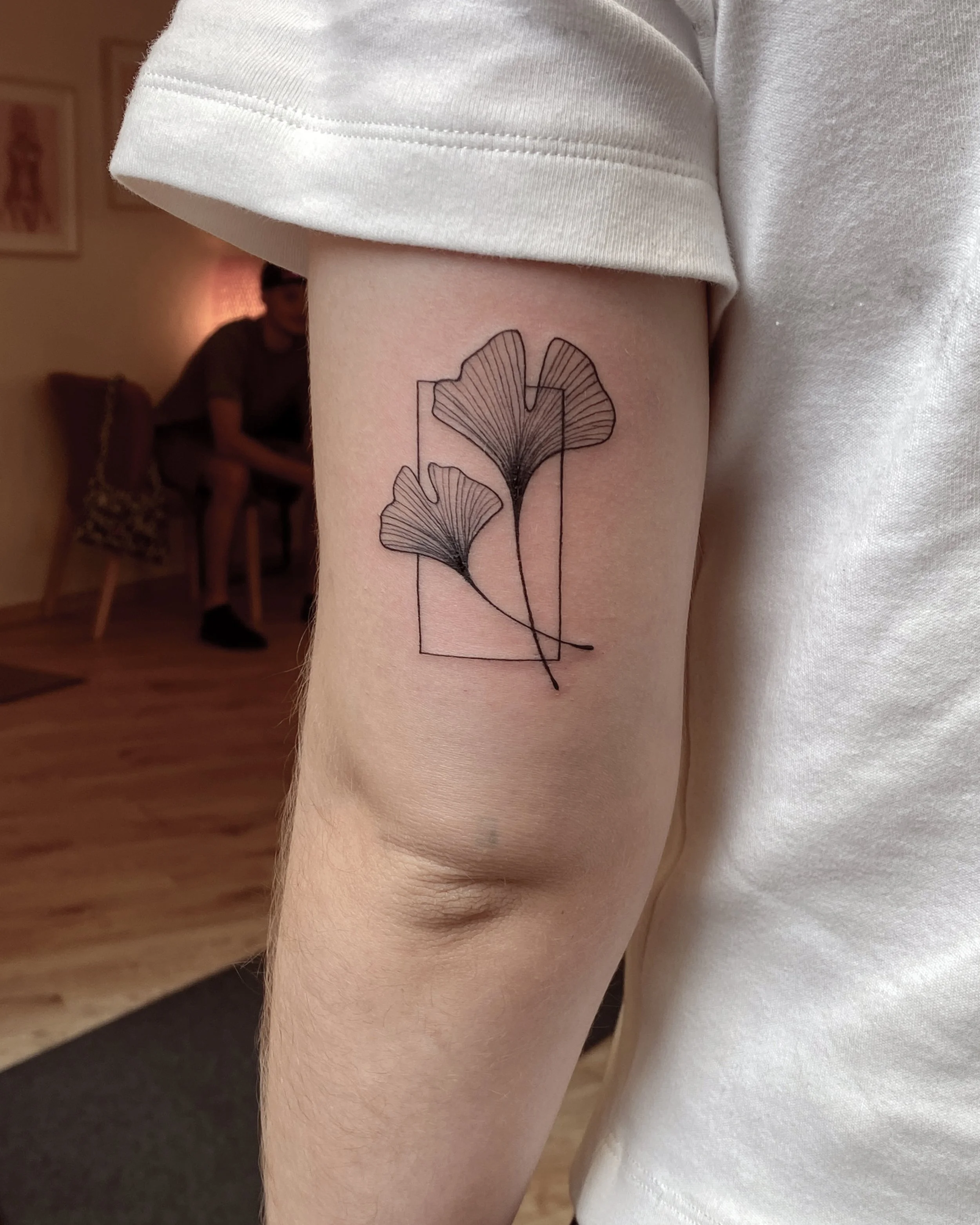 ginkgo4.jpg