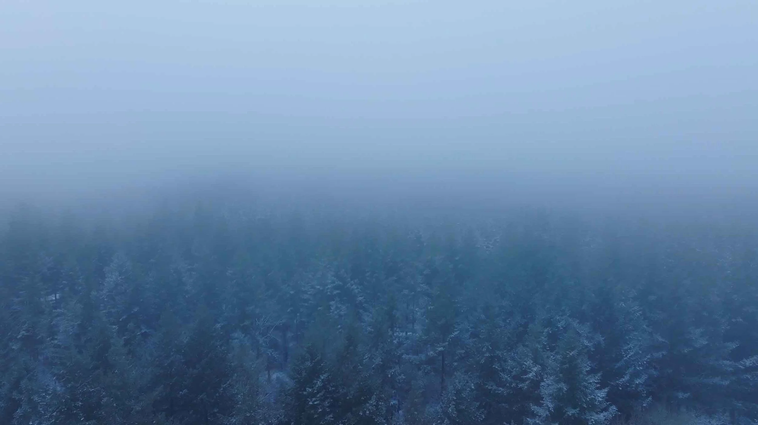 Branded webserie Pinned voor Cameranu, gefilmd op Landgoed Twickel